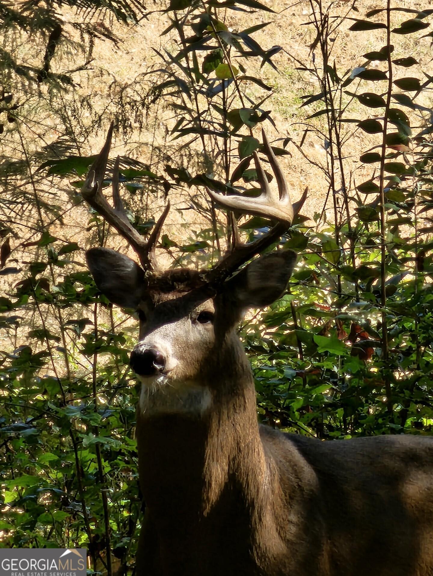 Photo #47