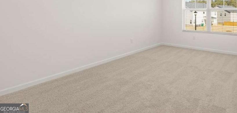 Photo #41