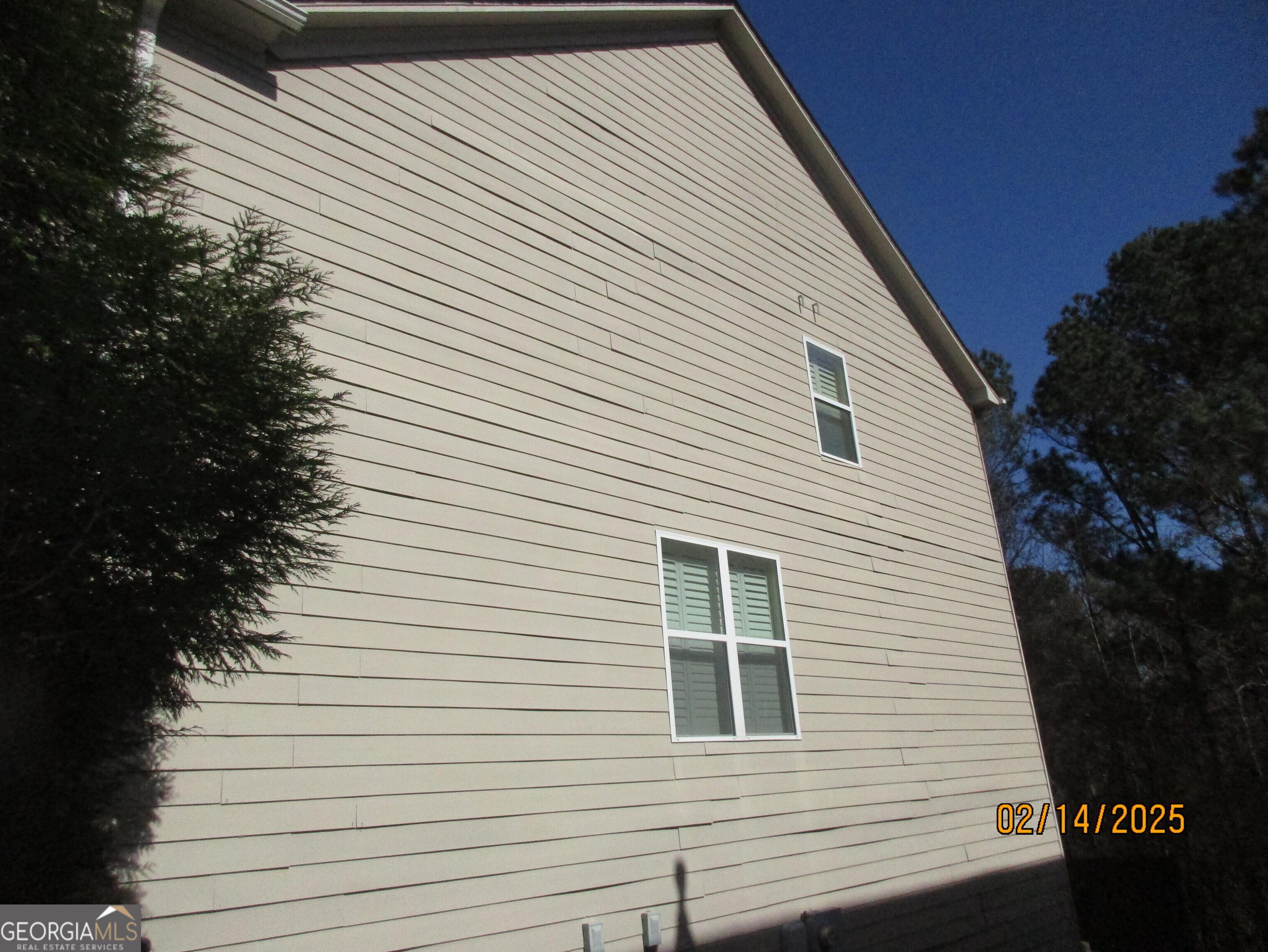 Photo #10
