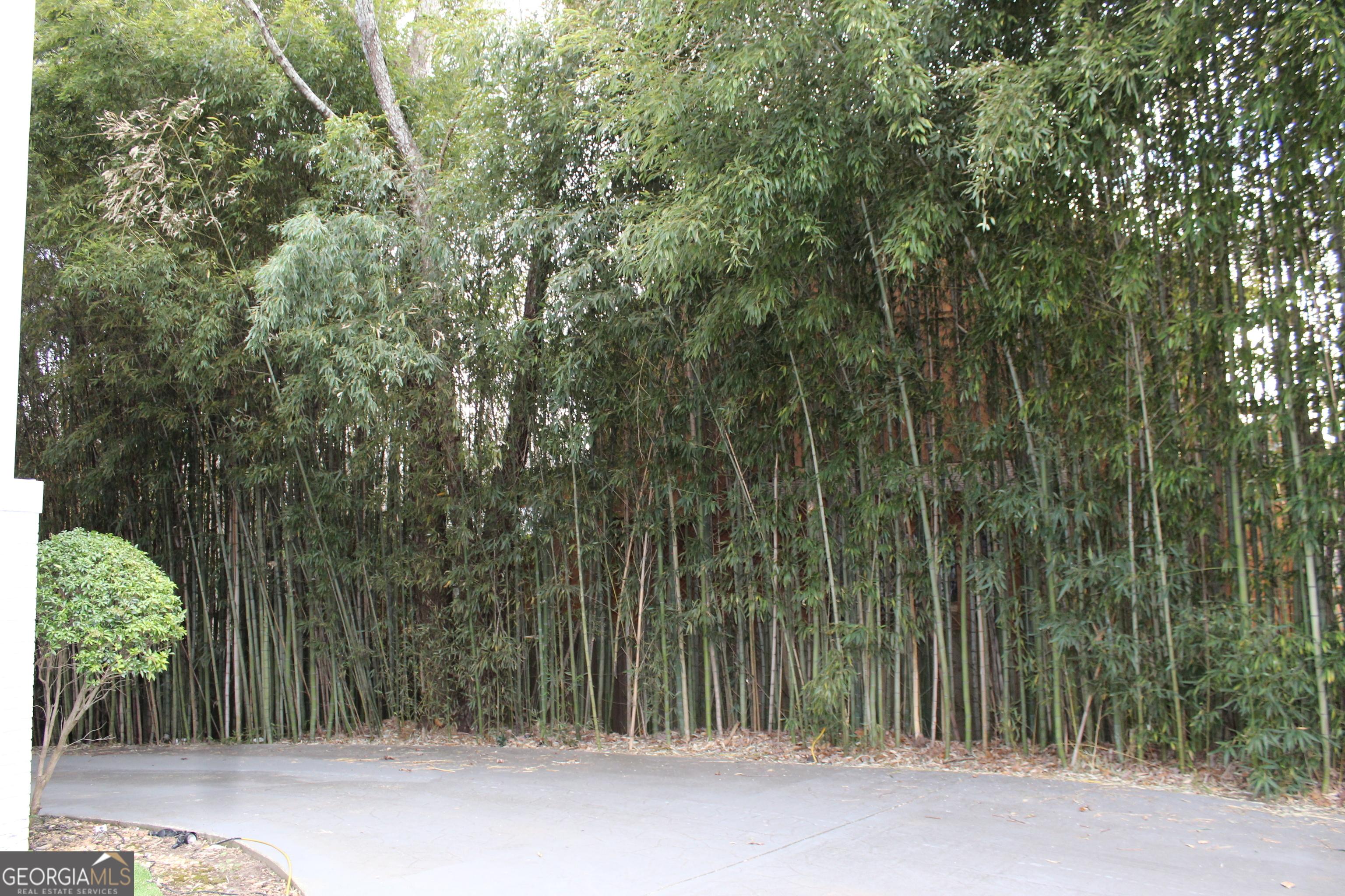 Photo #29