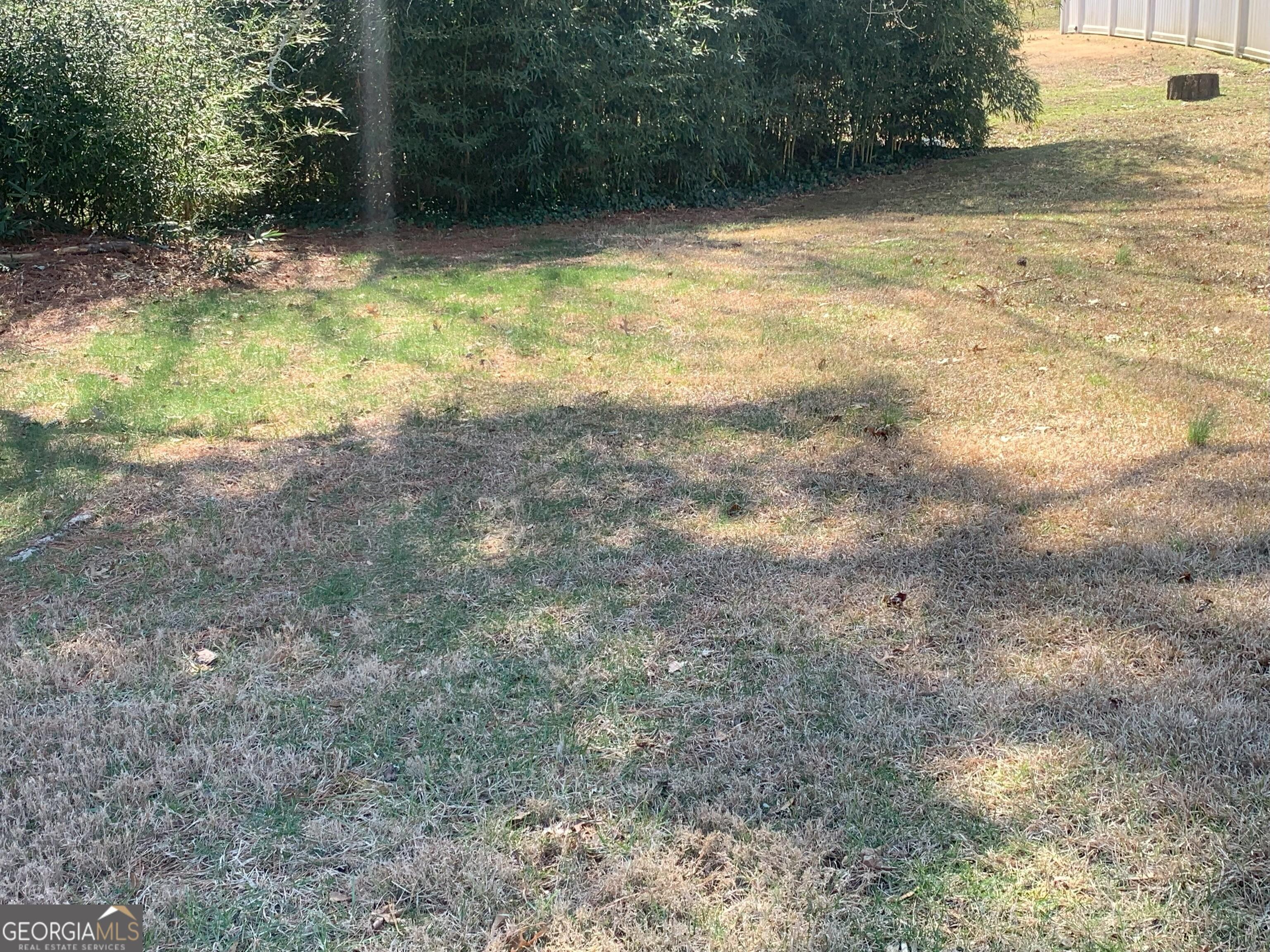 Photo #33