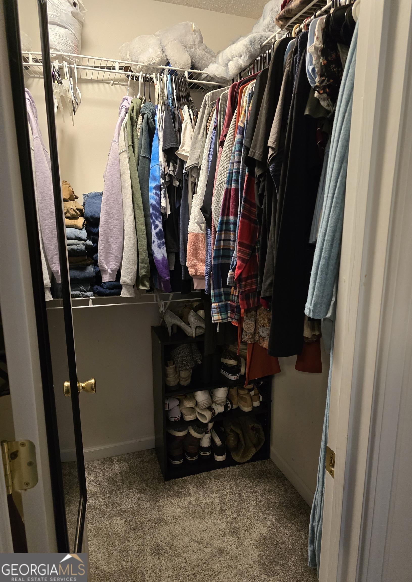 Photo #15