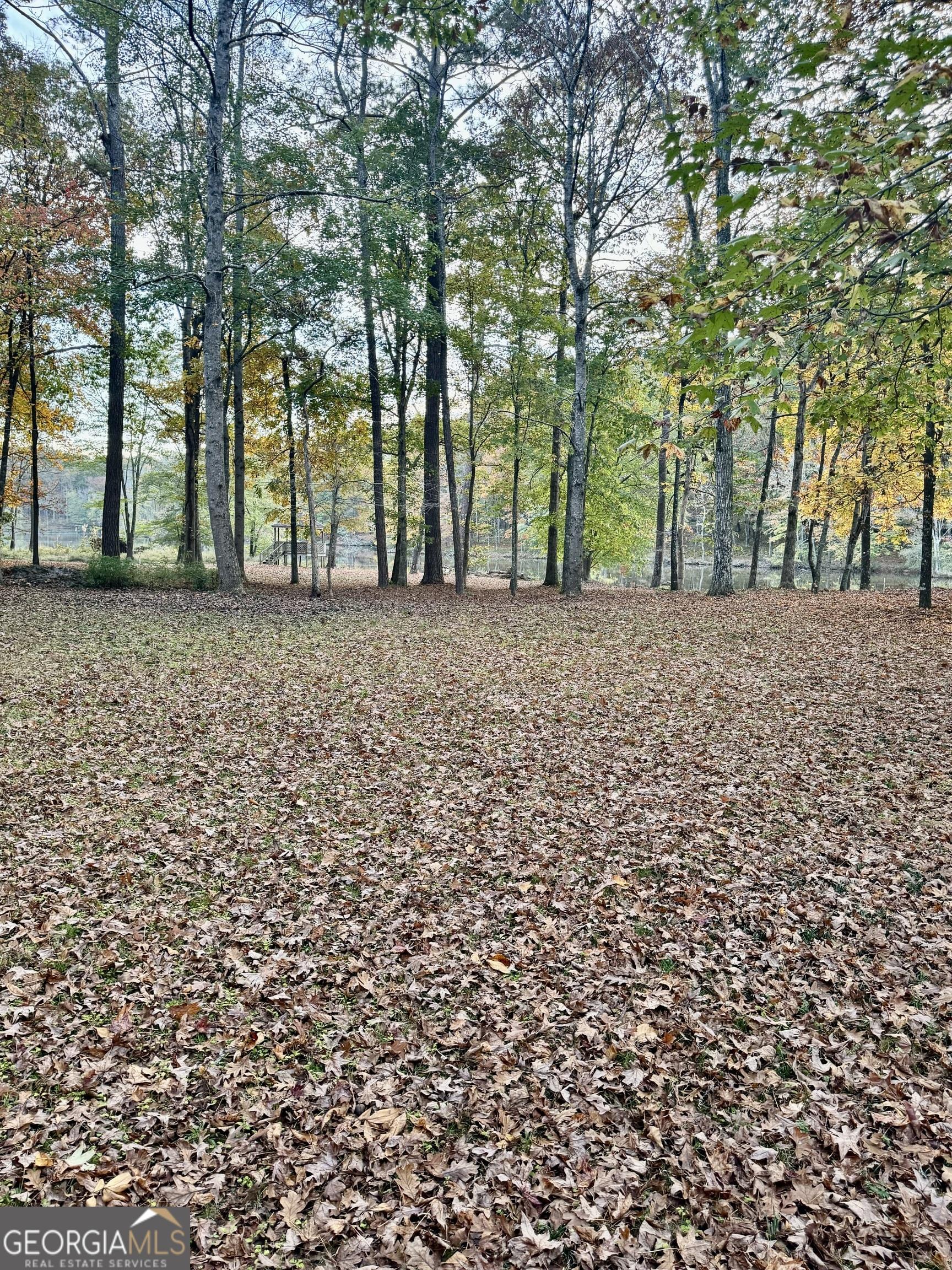 Photo #67