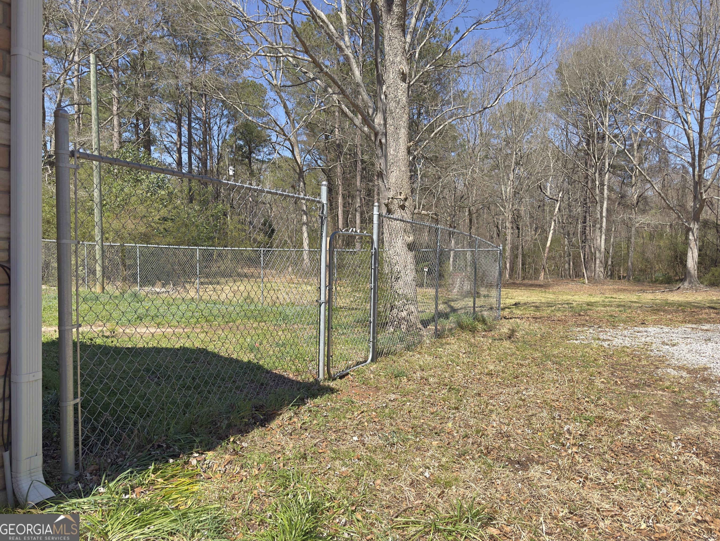 Photo #36