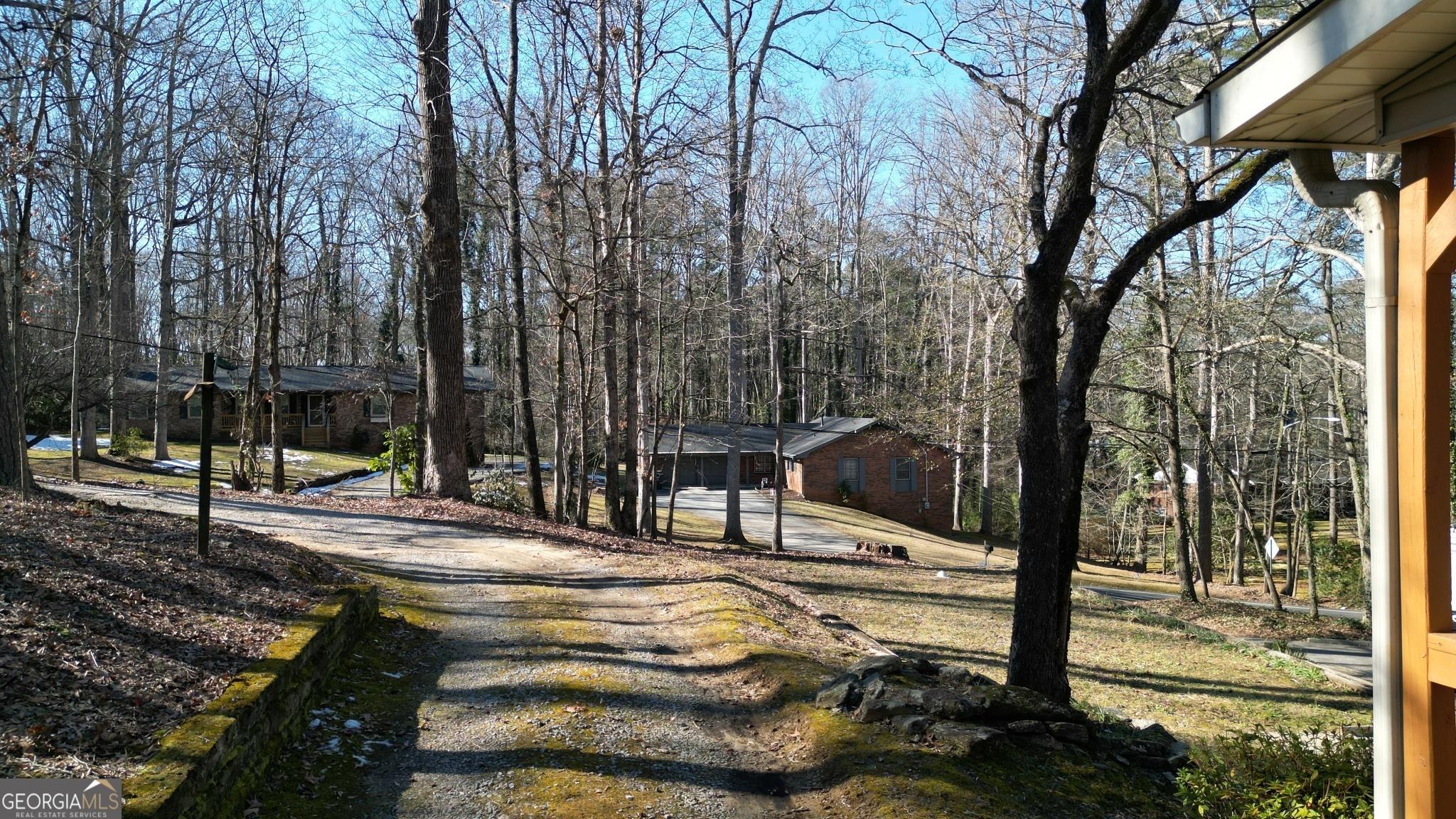 Photo #5