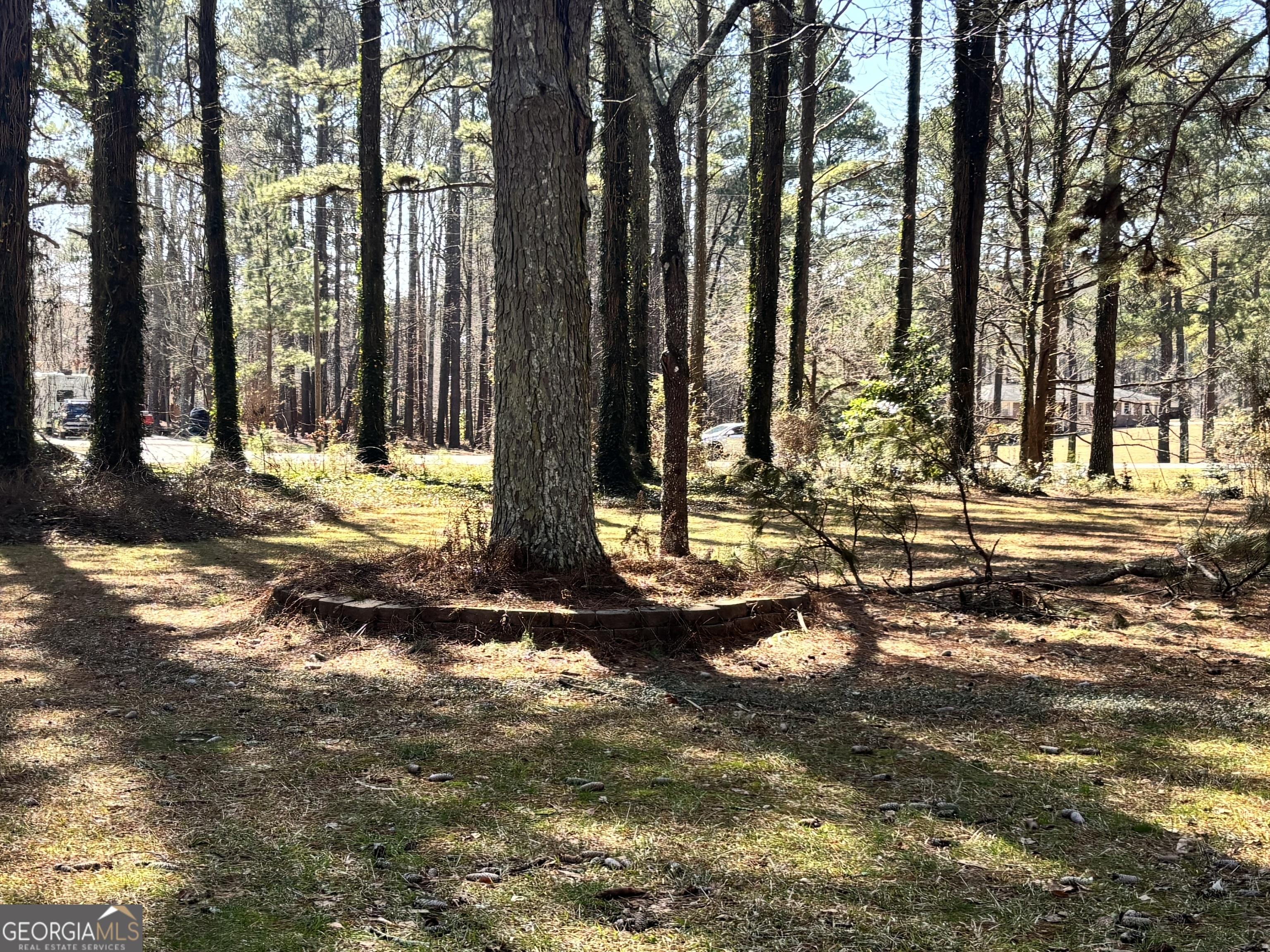 Photo #4