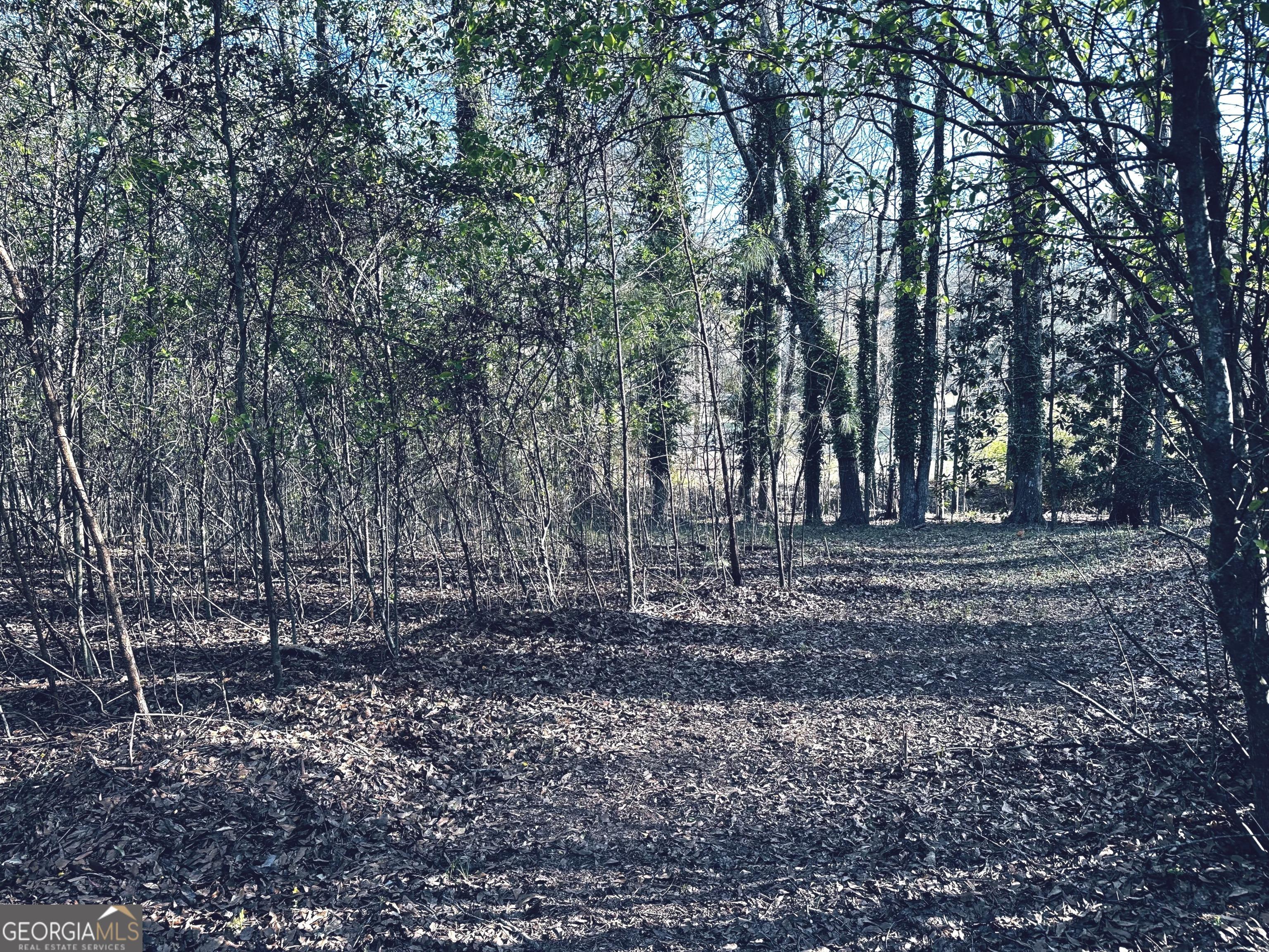 Photo #51