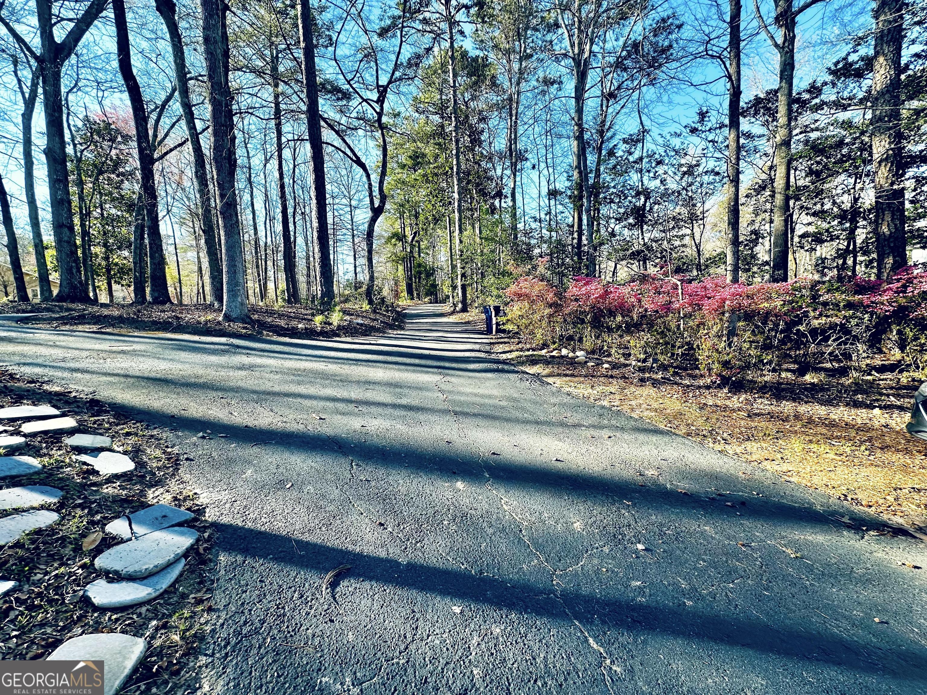 Photo #53