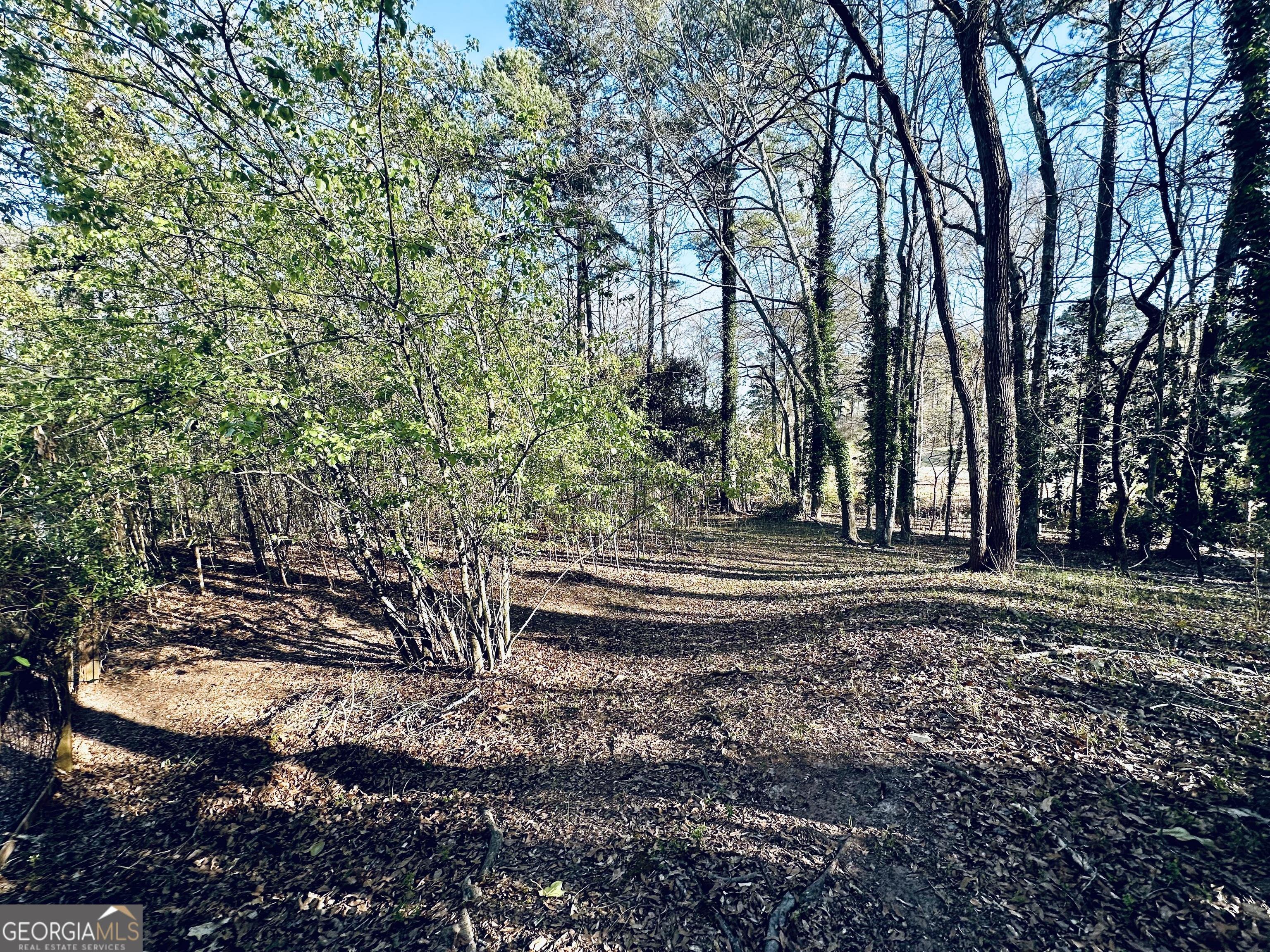 Photo #52