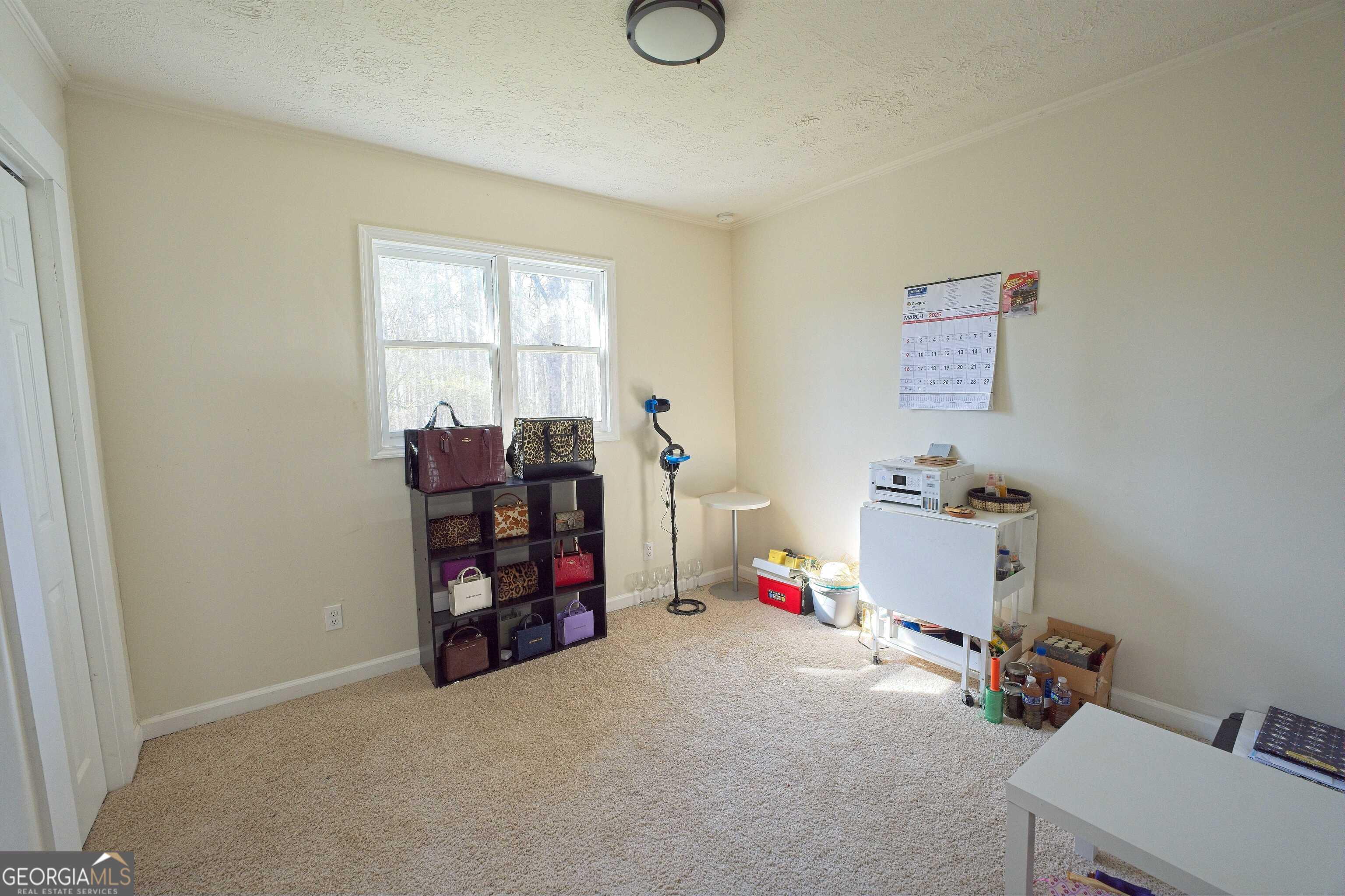 Photo #5