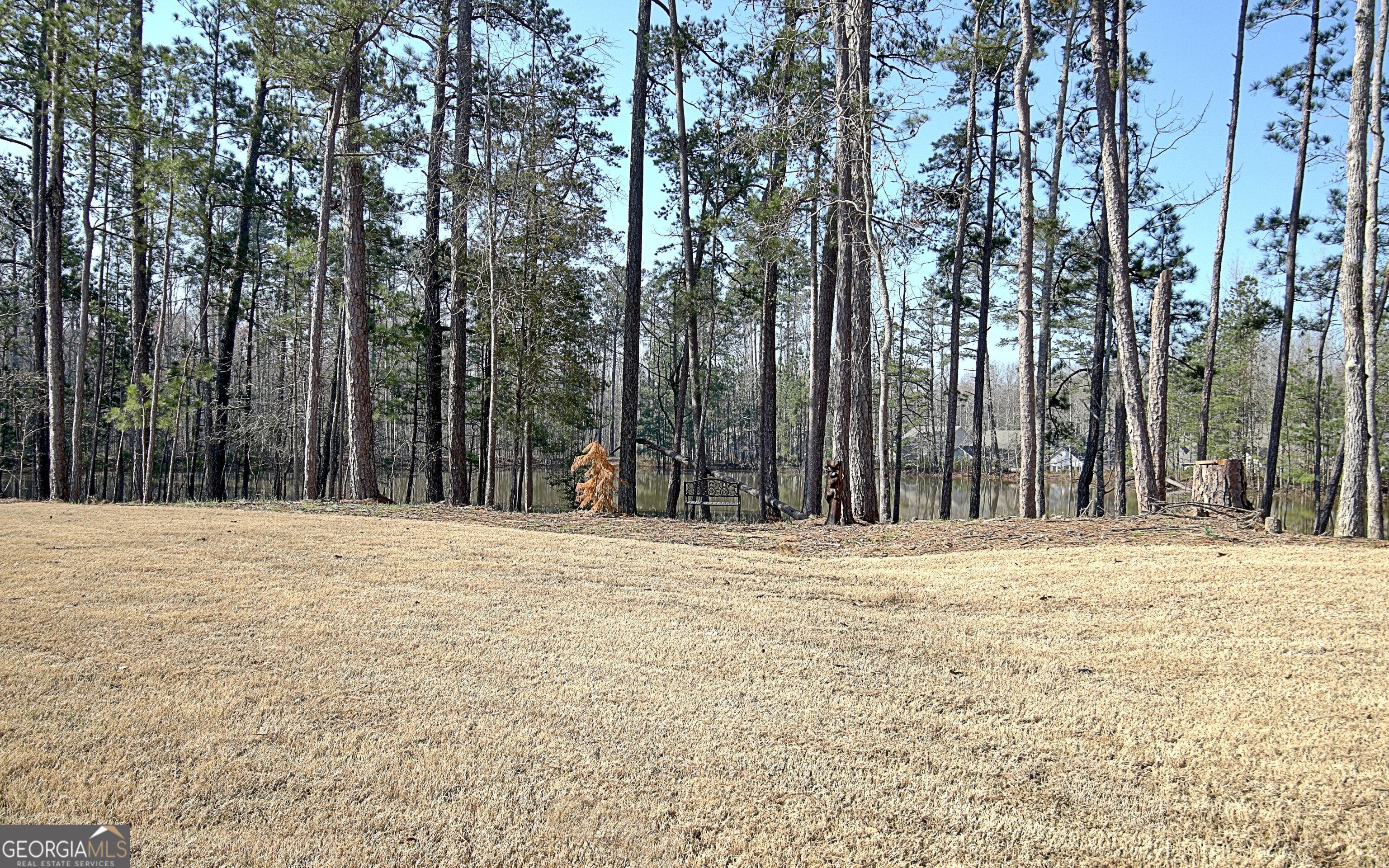 Photo #58