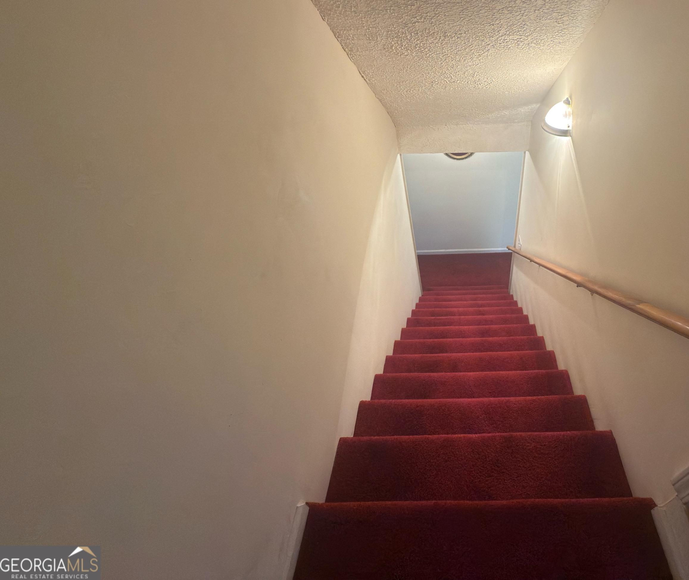 Photo #15