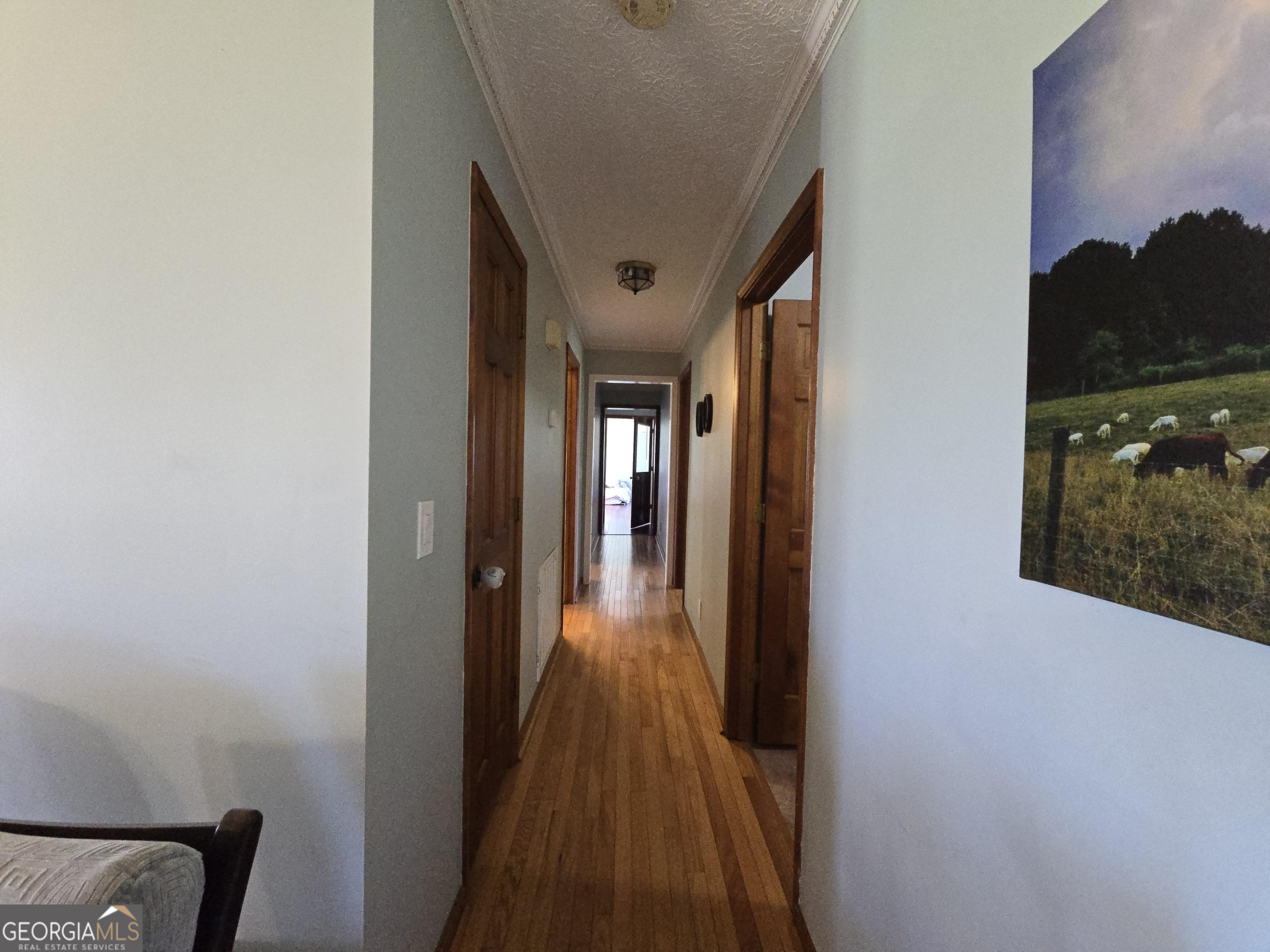 Photo #56