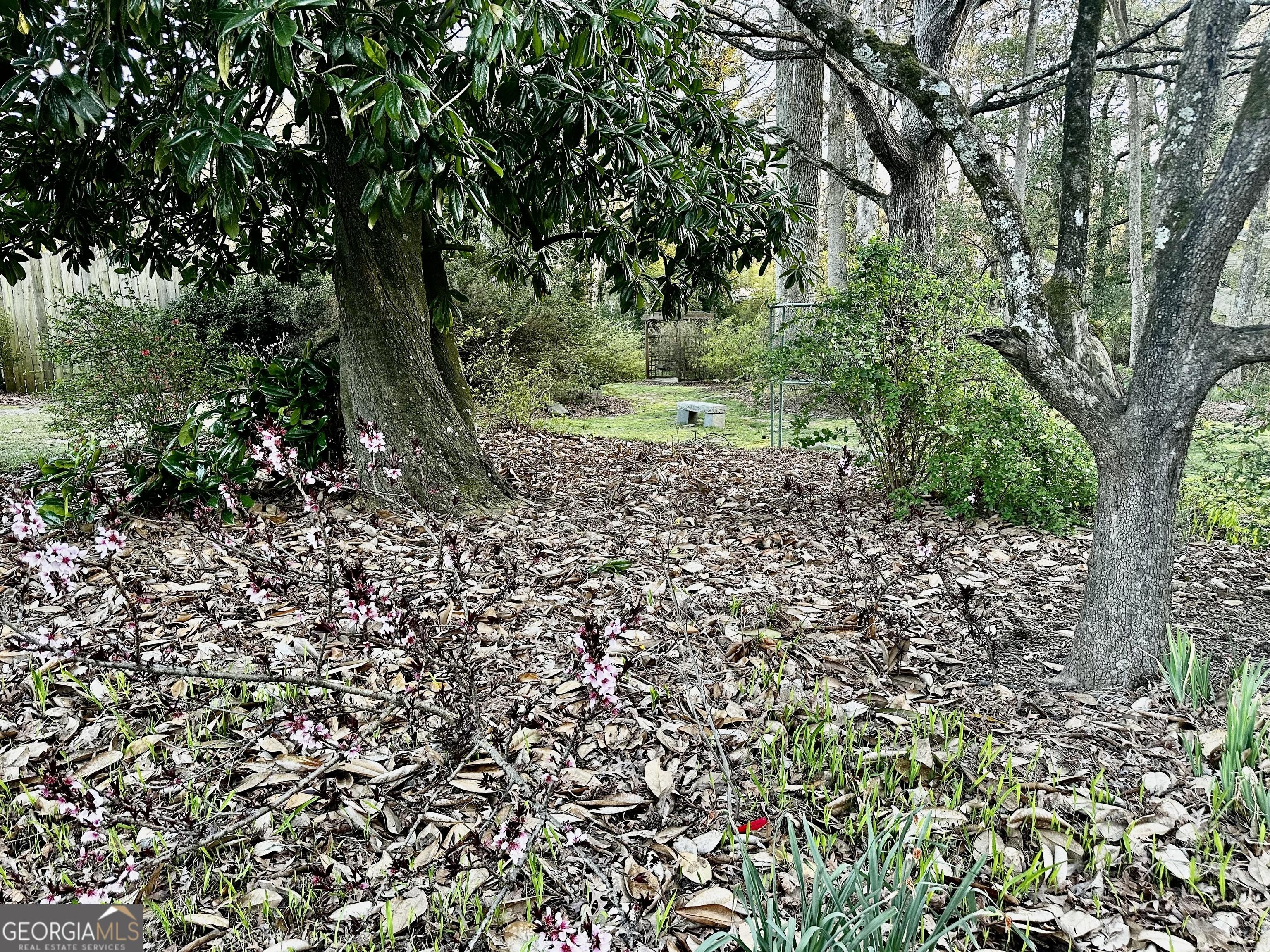 Photo #15