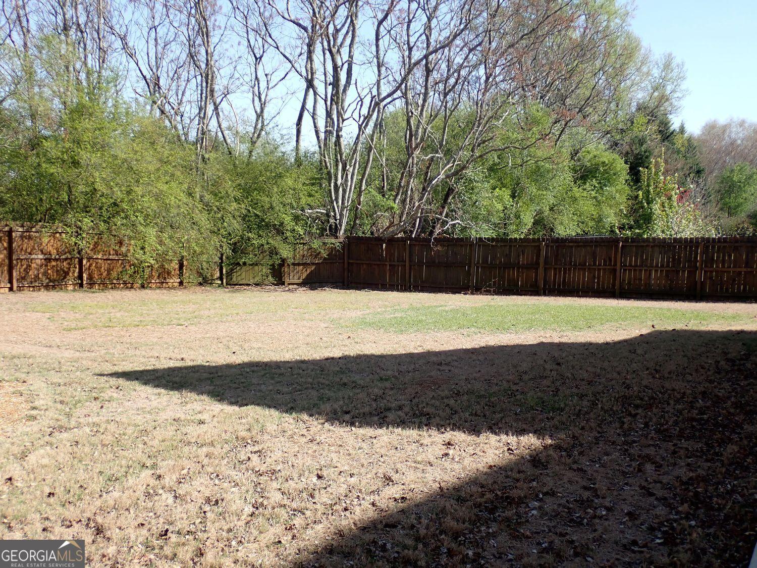 Photo #41
