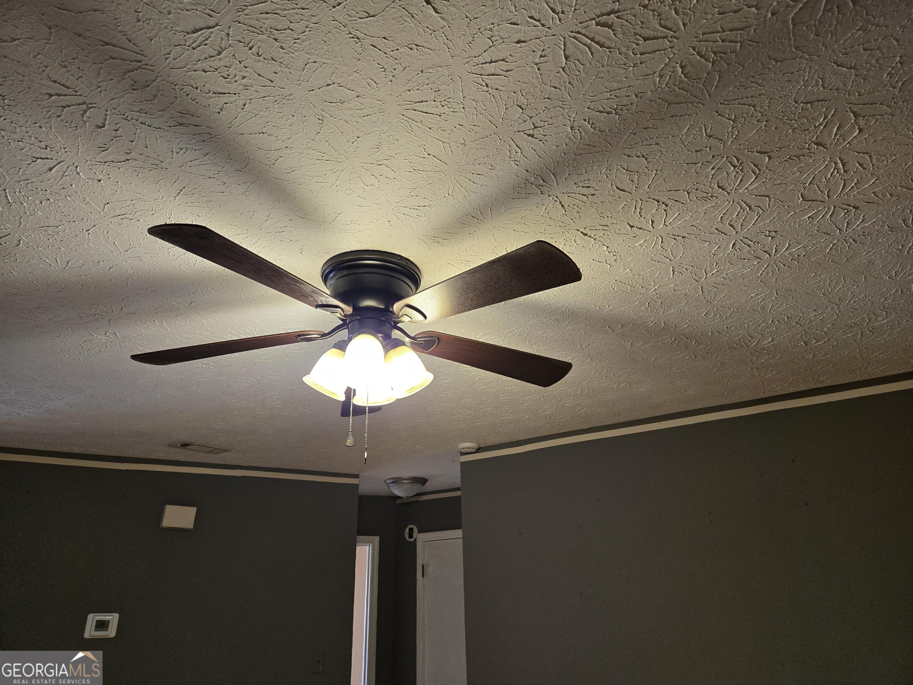 Photo #7
