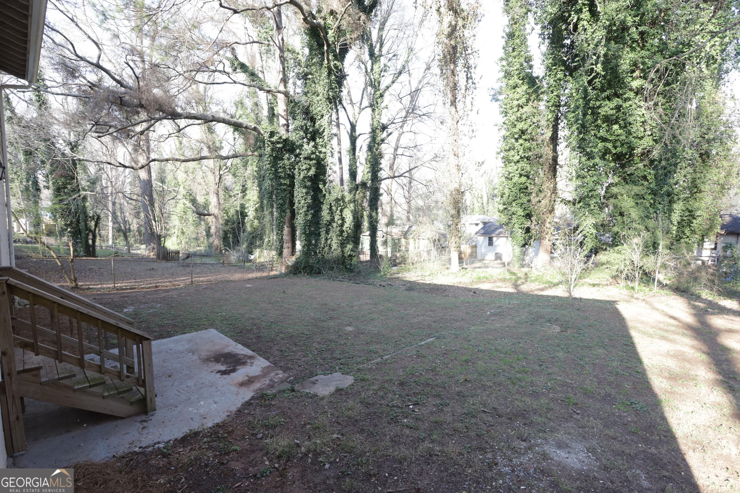Photo #12