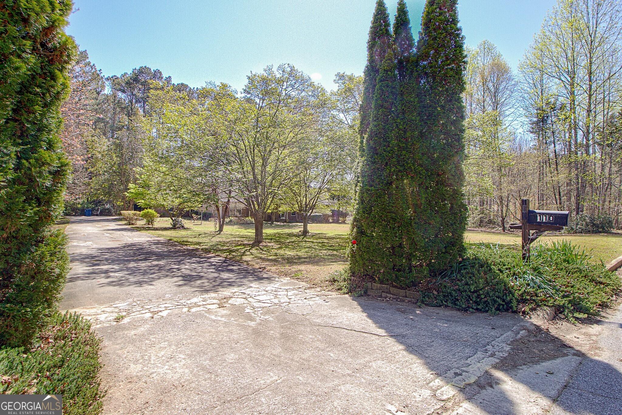 Photo #3