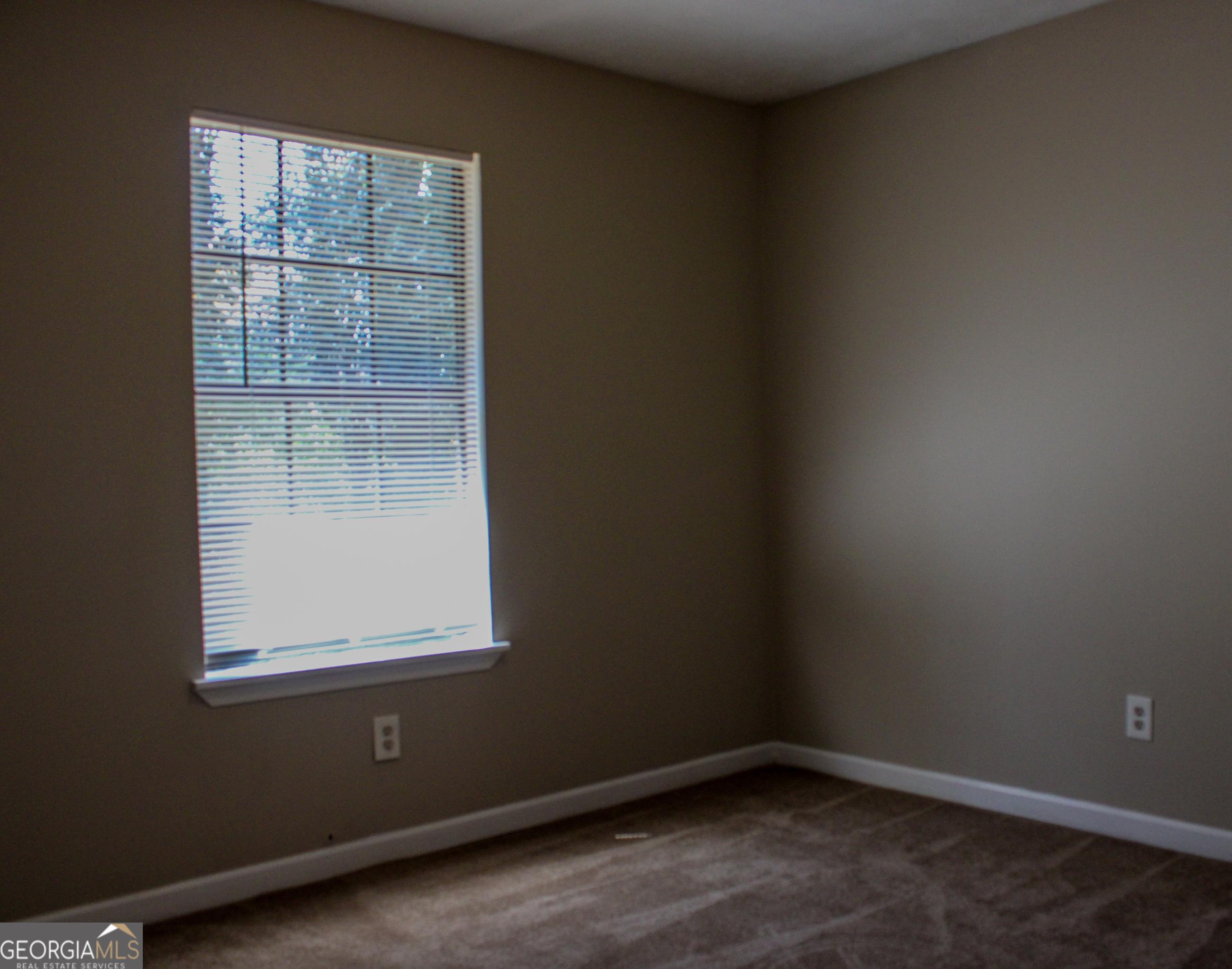 Photo #16