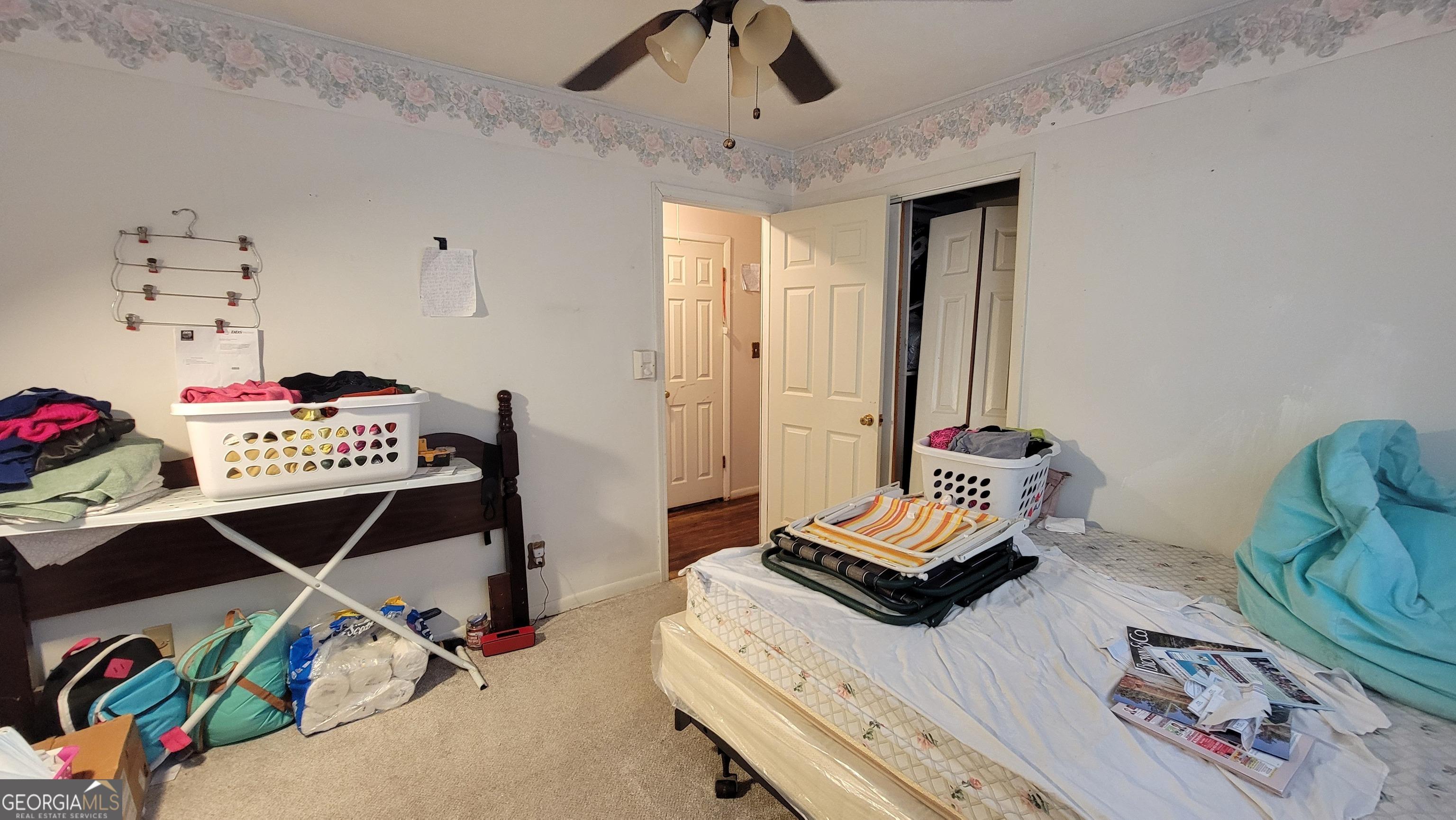 Photo #19