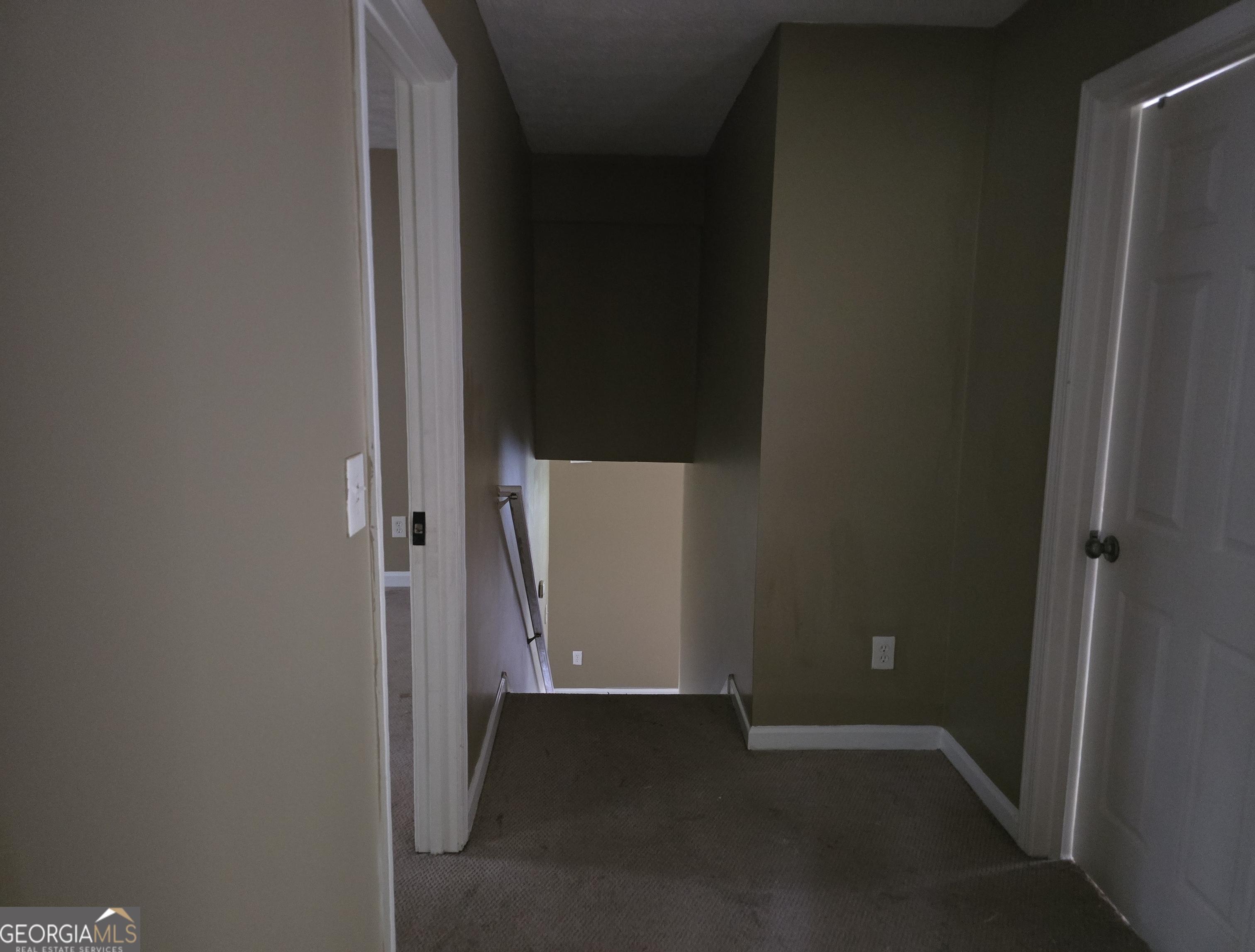 Photo #10
