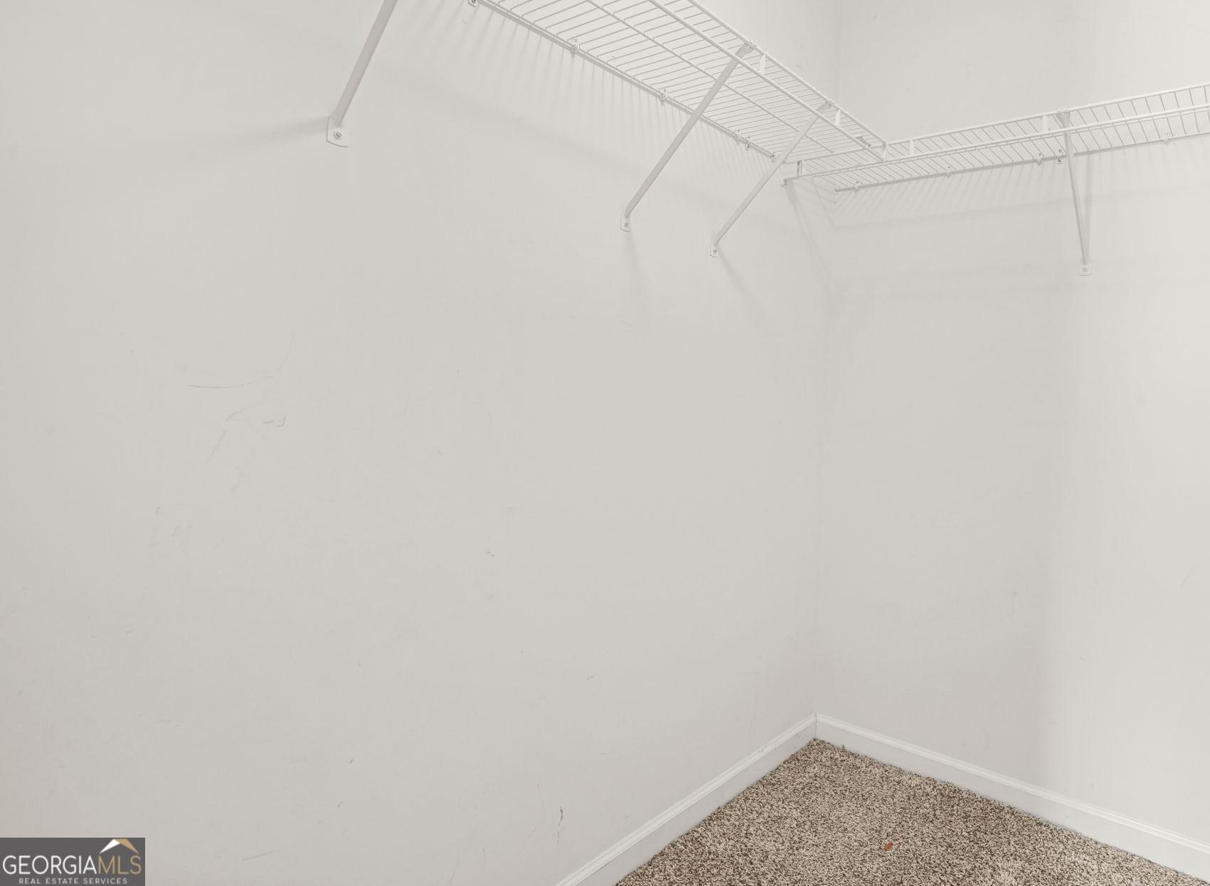Photo #19