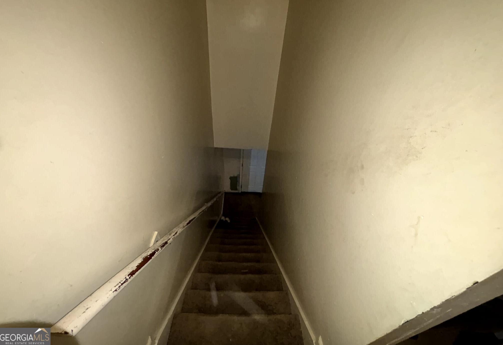 Photo #14
