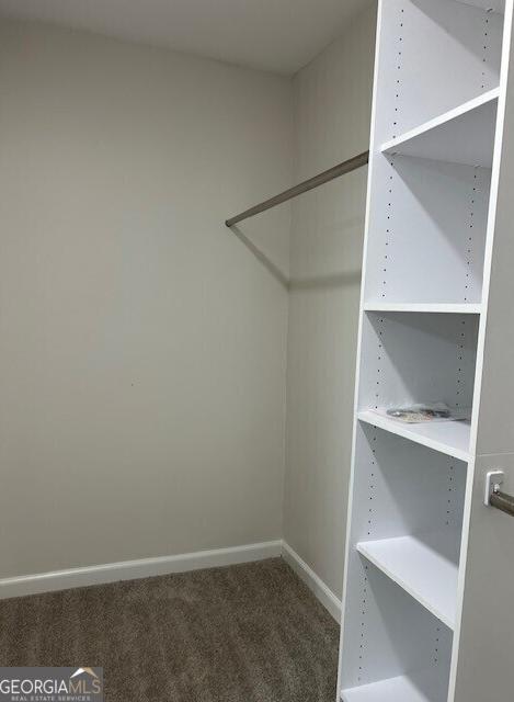 Photo #24