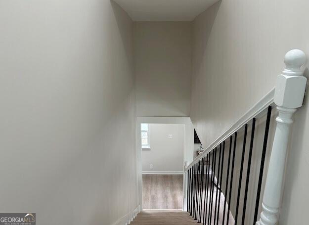 Photo #17