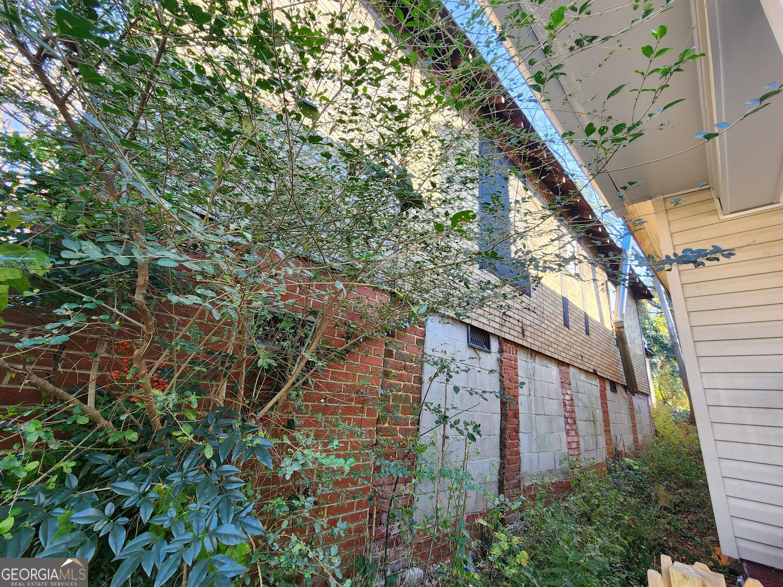 Photo #13