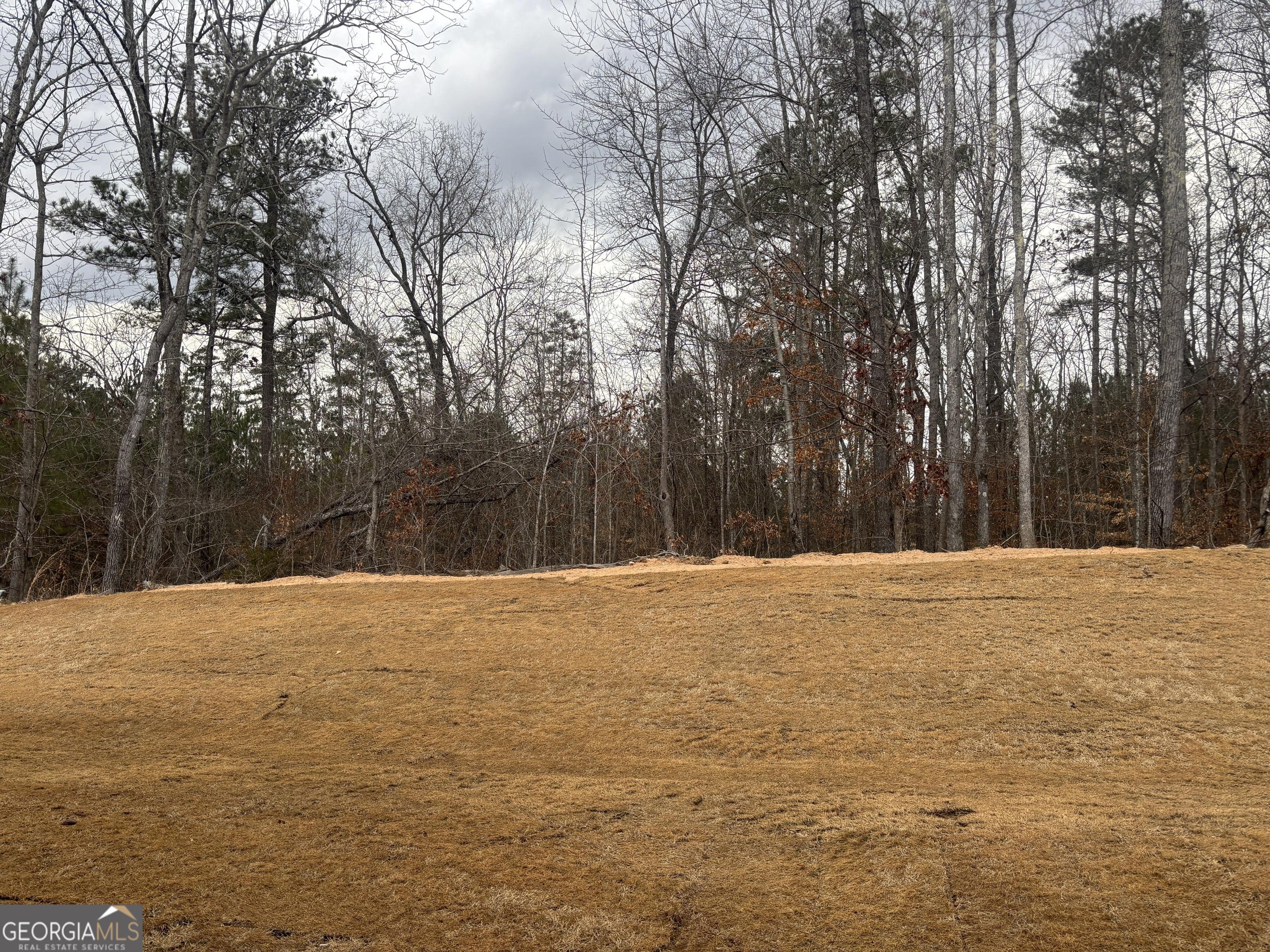 Photo #39