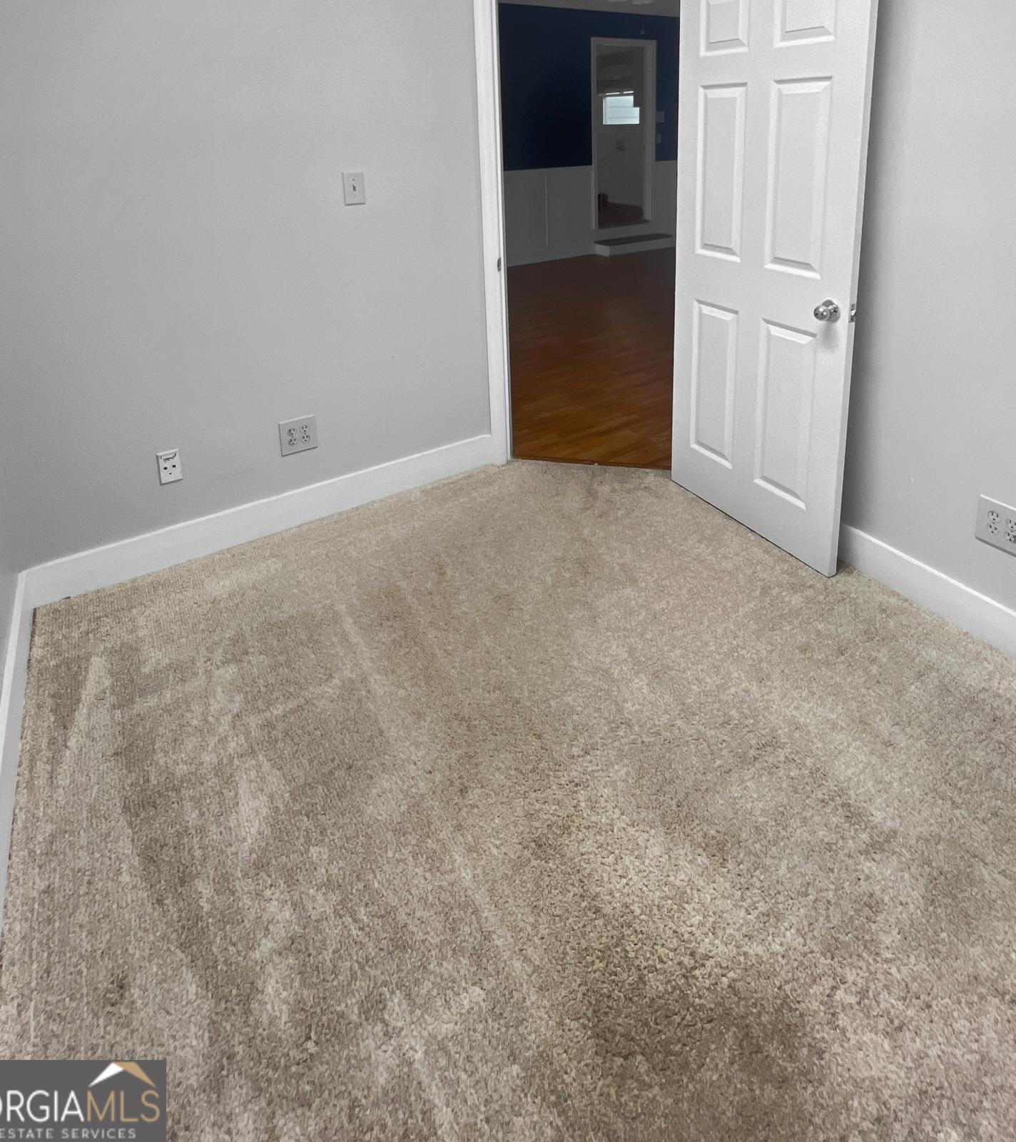 Photo #31