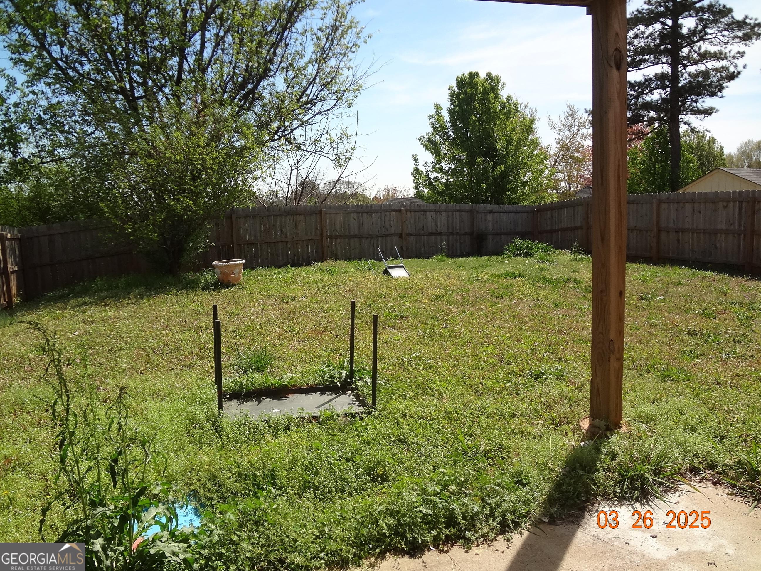 Photo #15