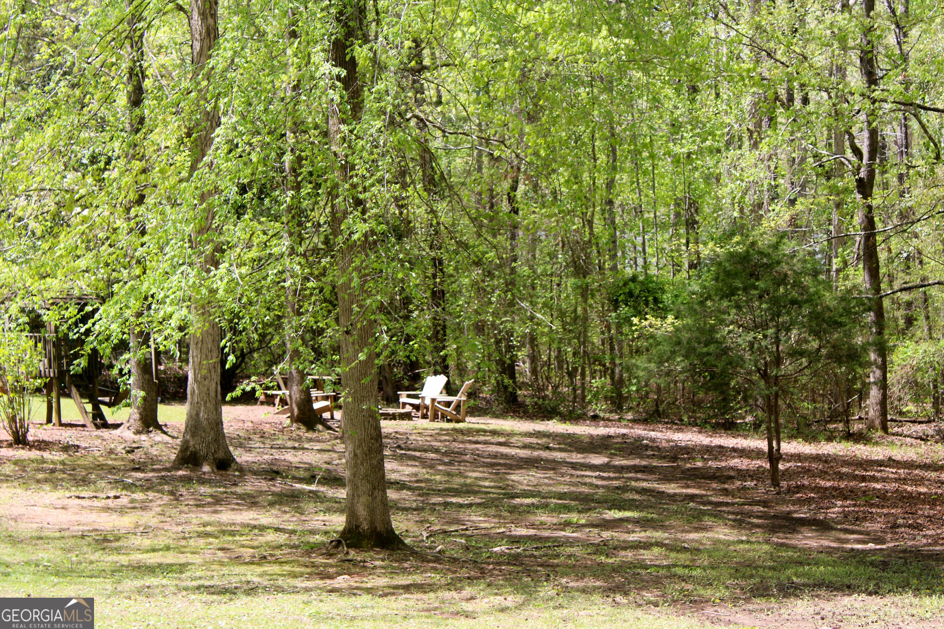 Photo #11