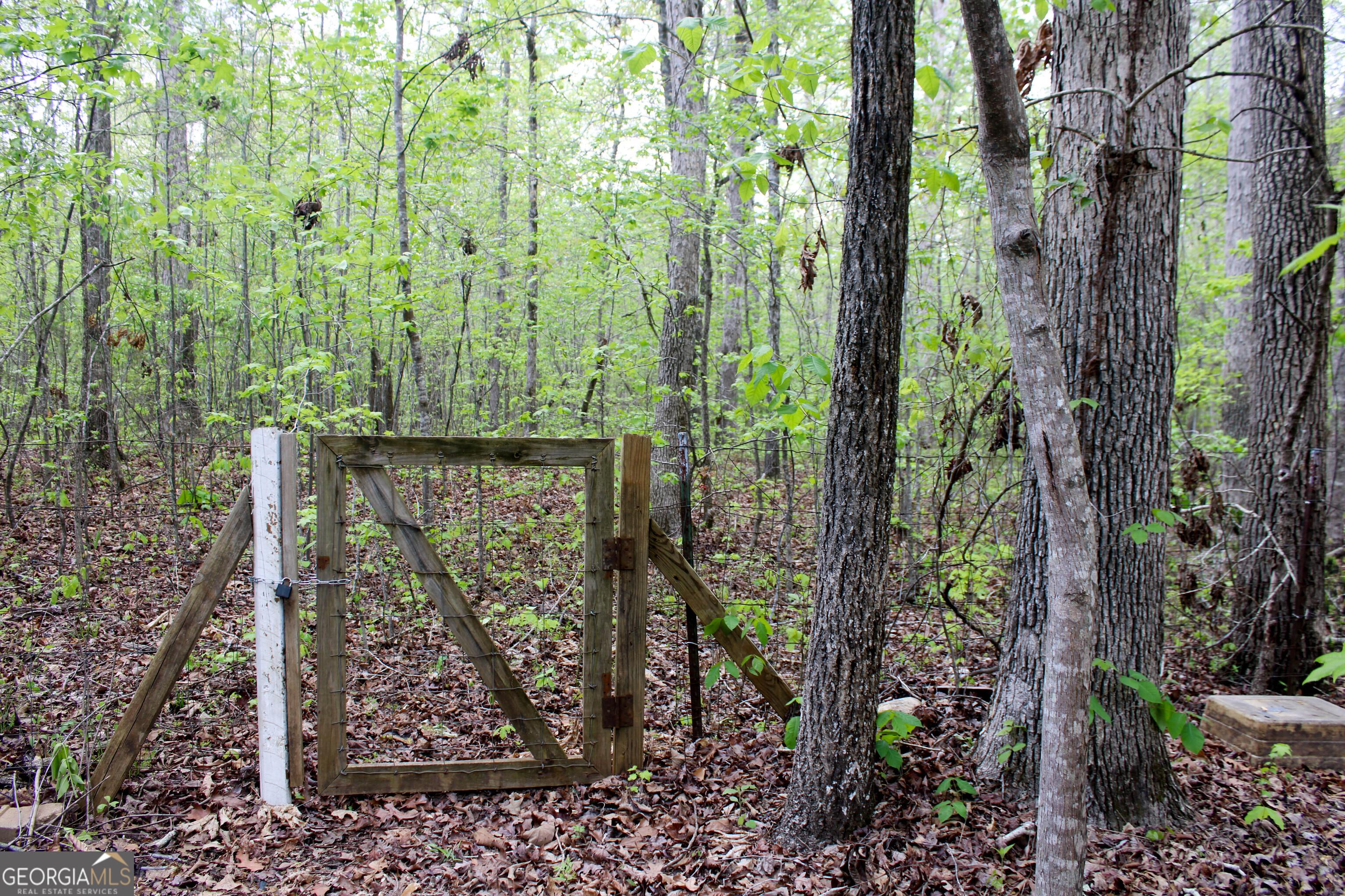 Photo #88
