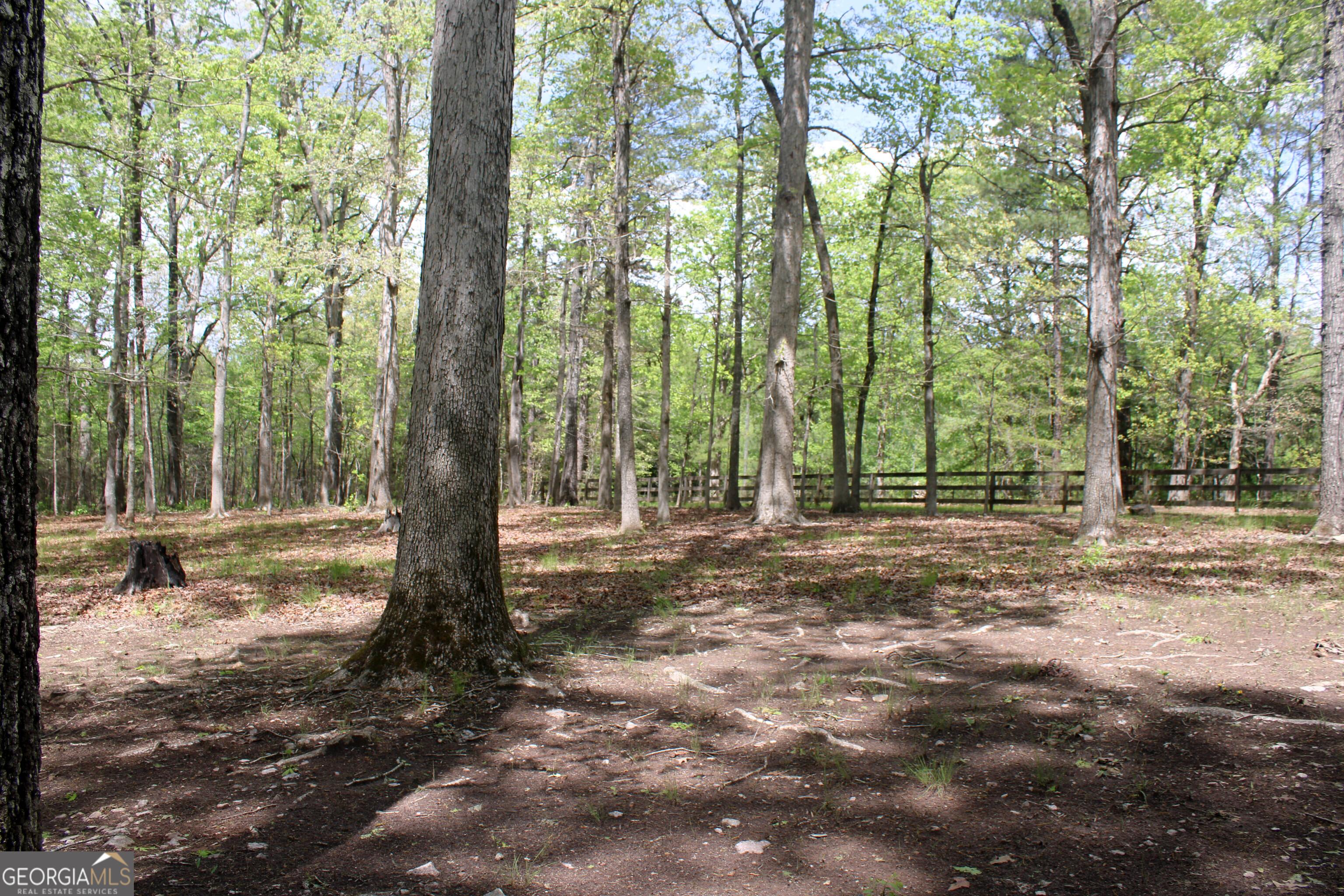 Photo #14