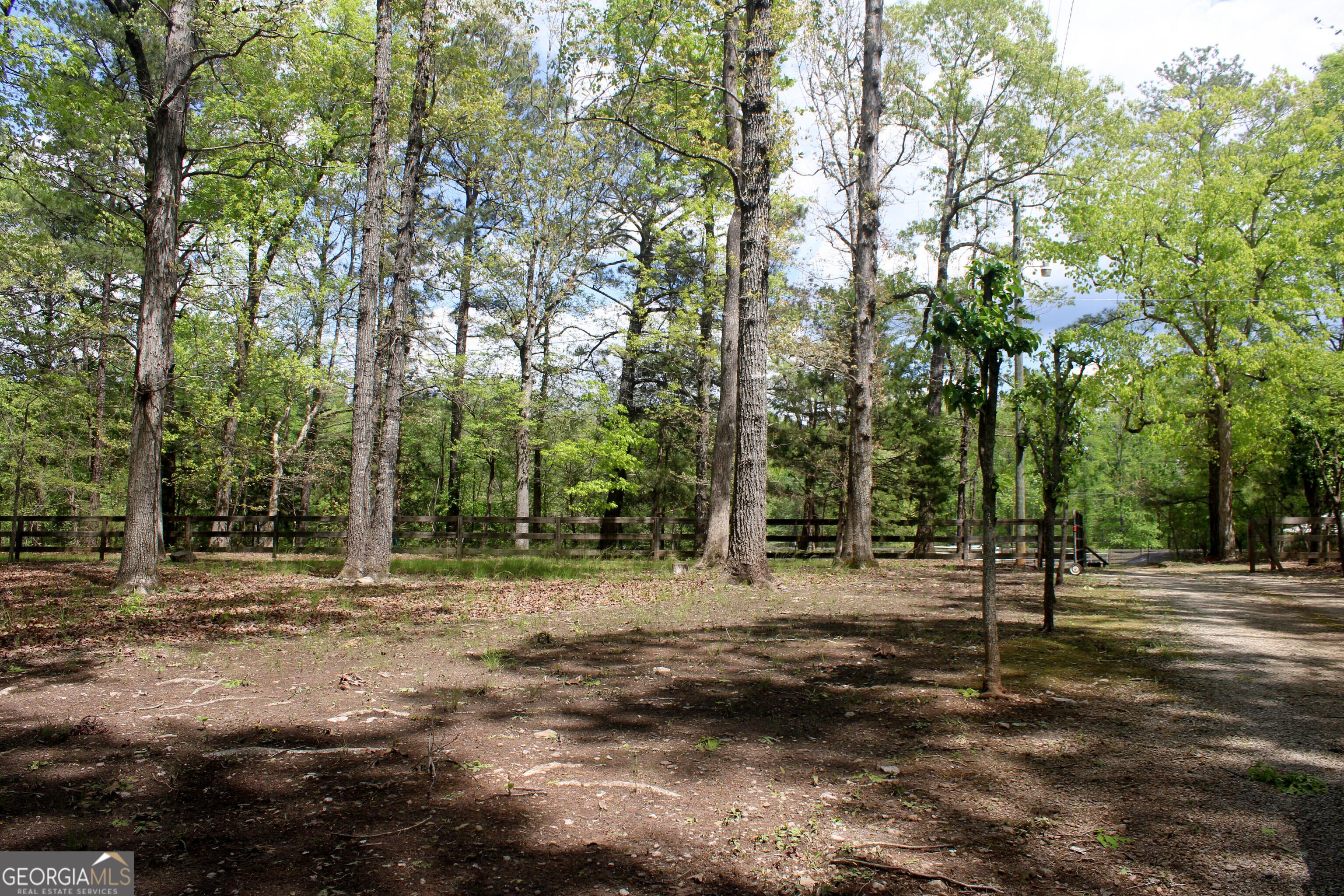 Photo #13