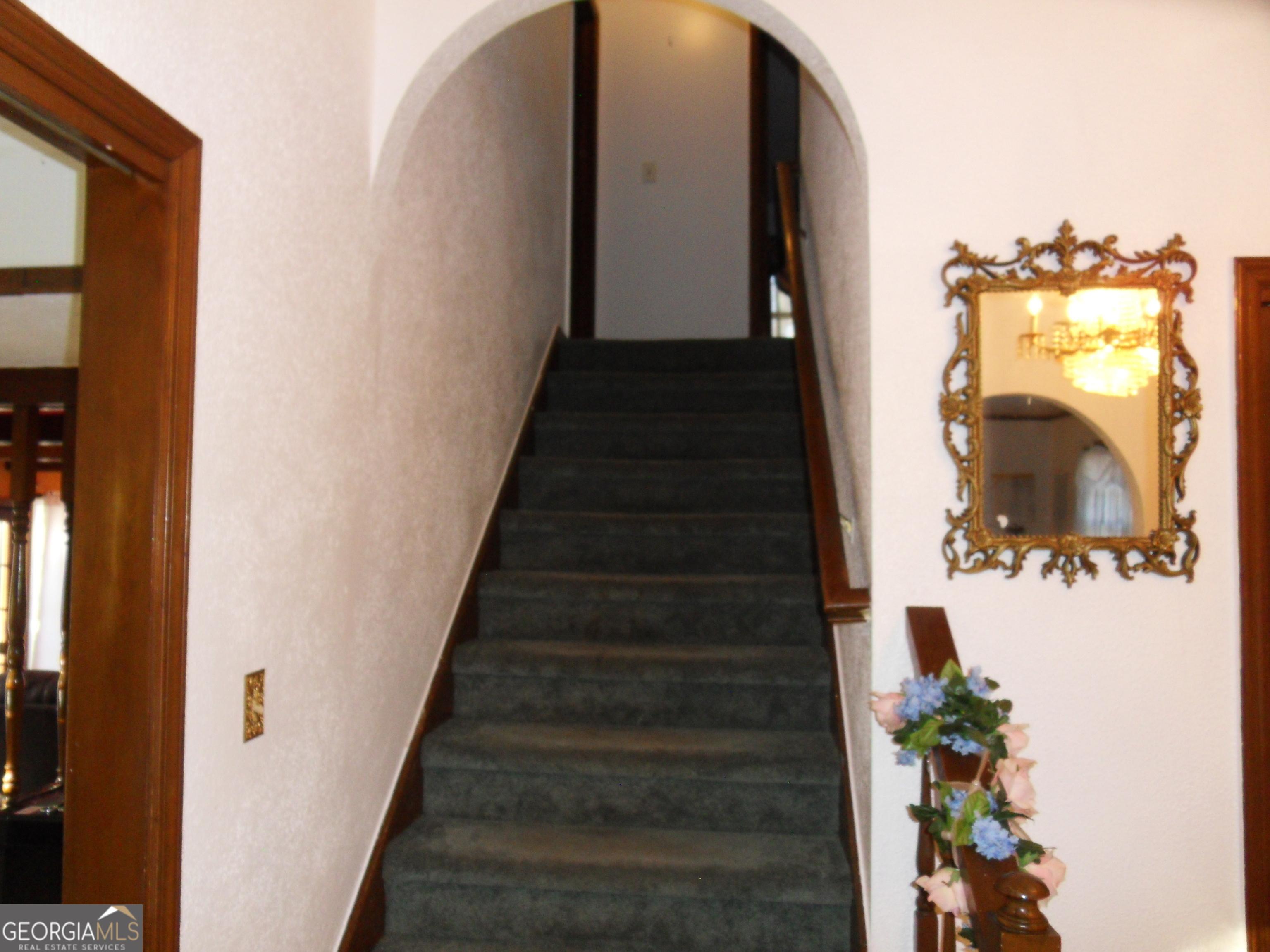 Photo #35