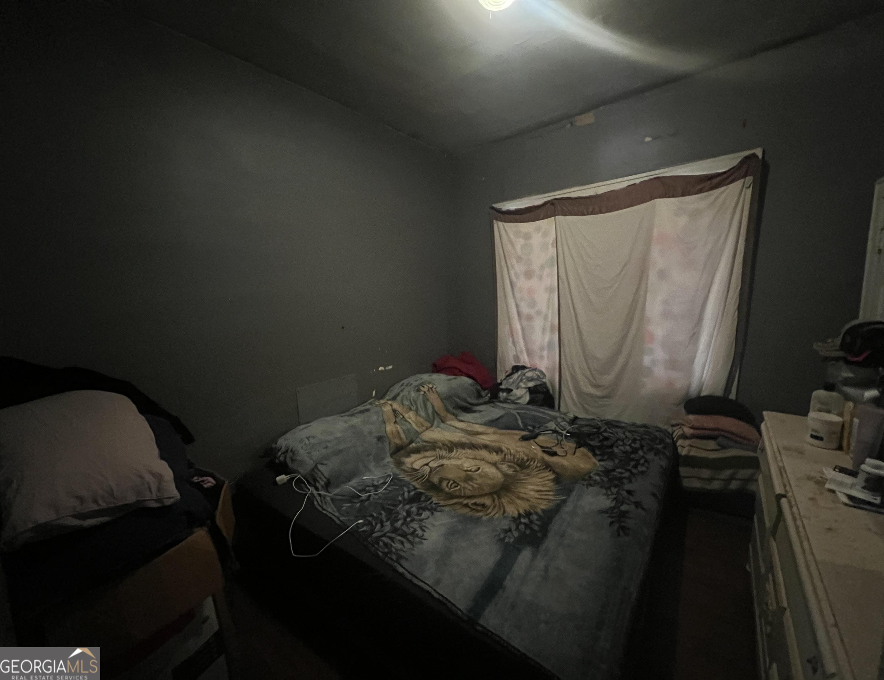 Photo #14
