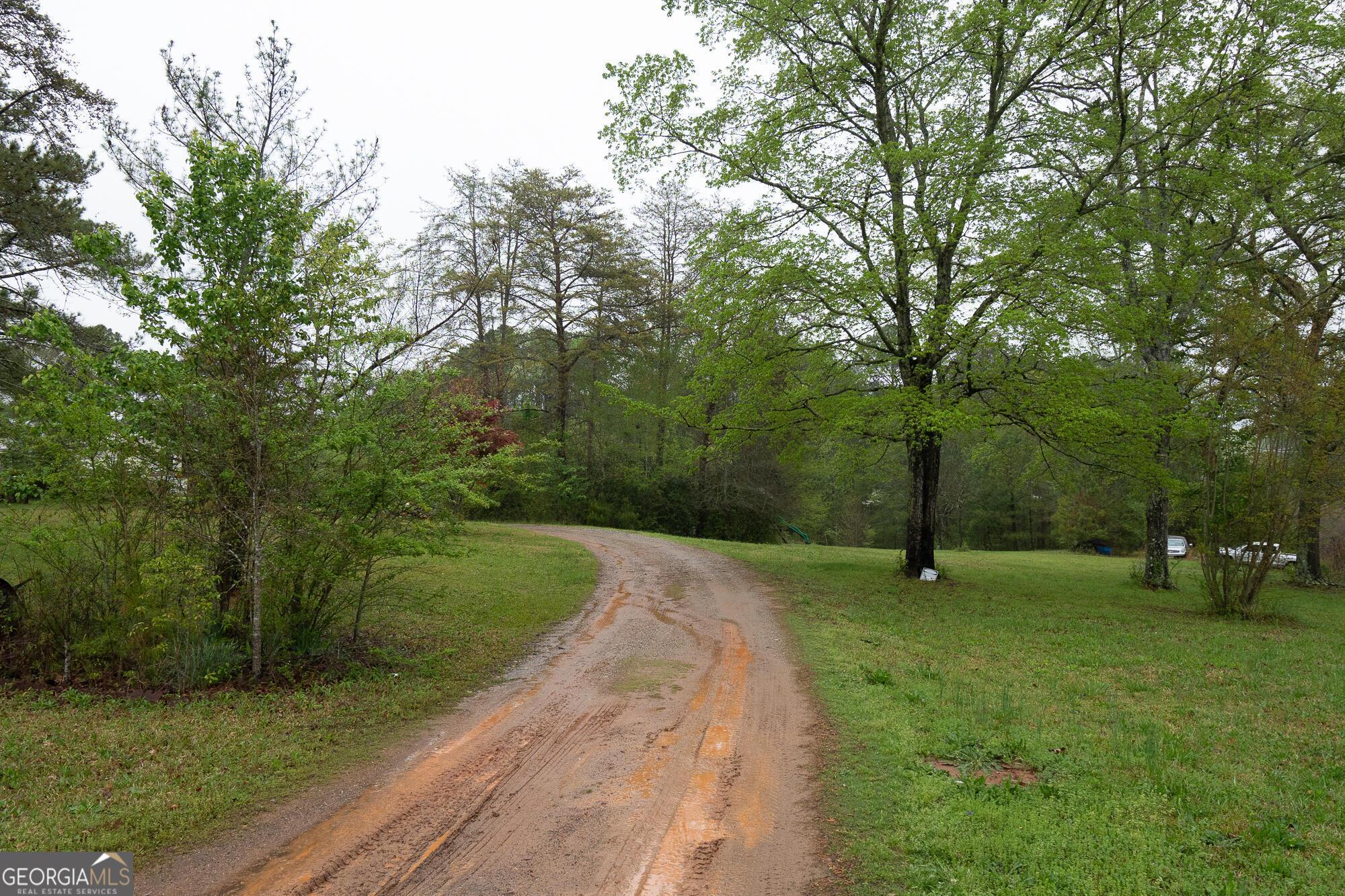 Photo #29