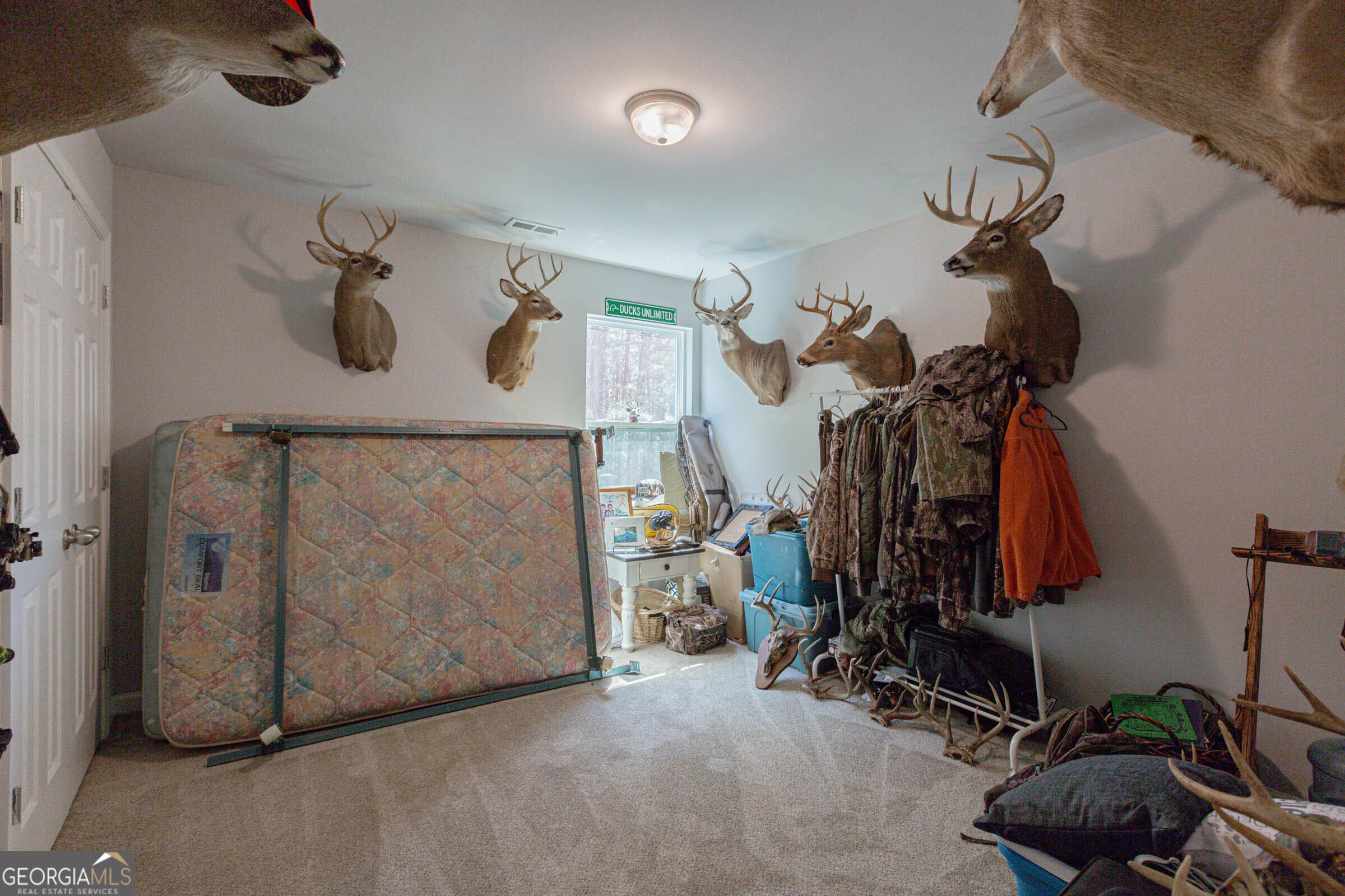 Photo #29