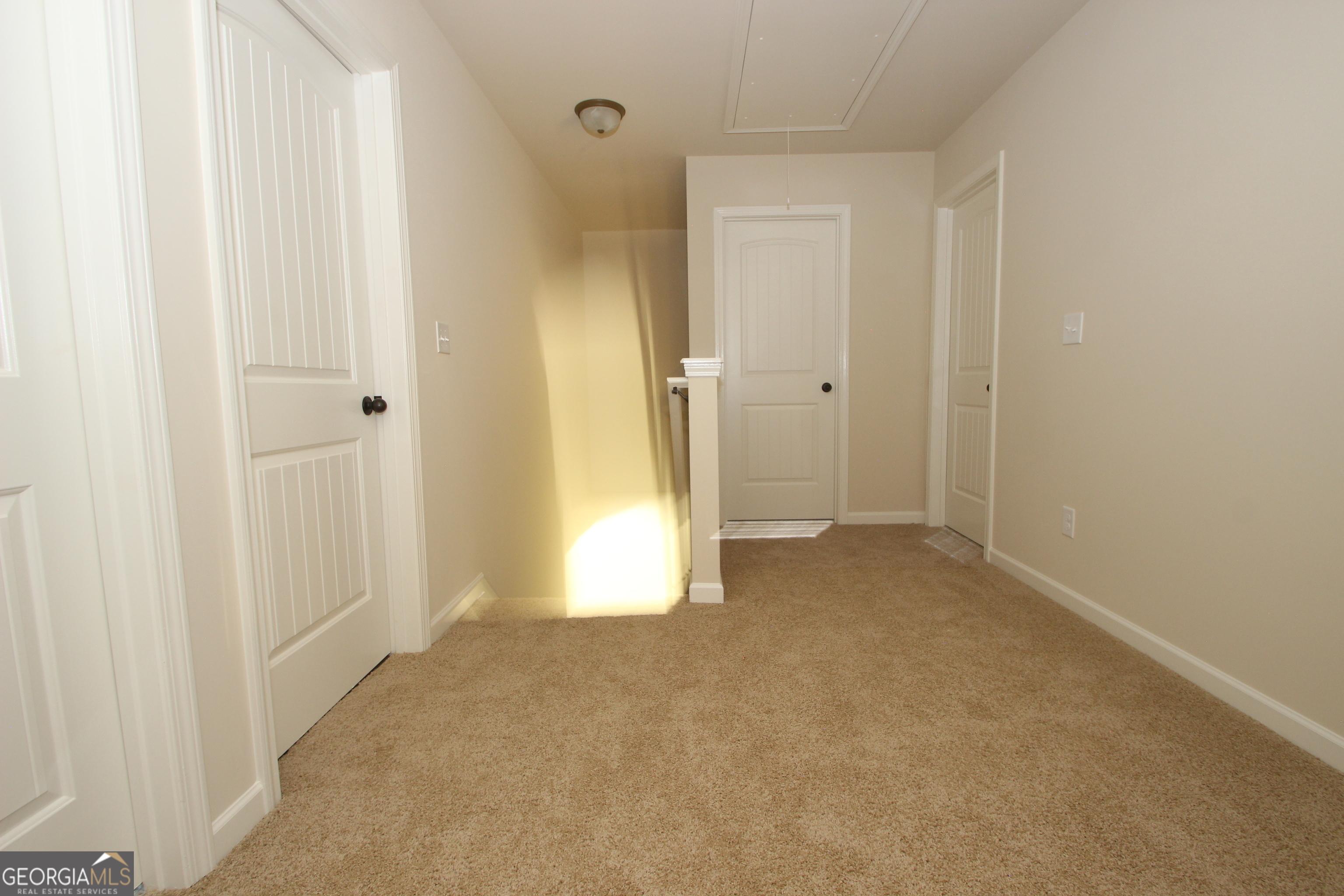 Photo #21