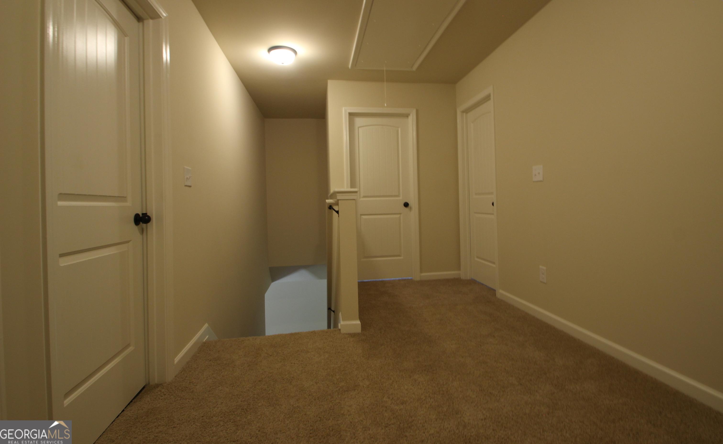 Photo #20