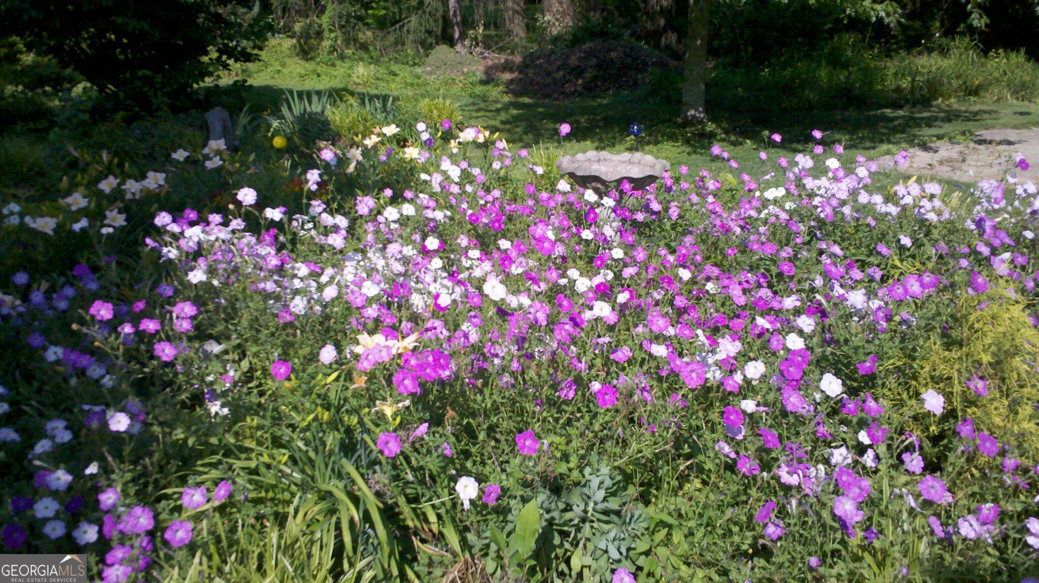 Photo #42