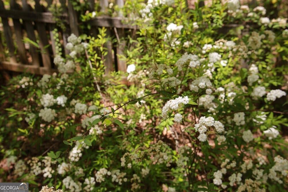 Photo #50