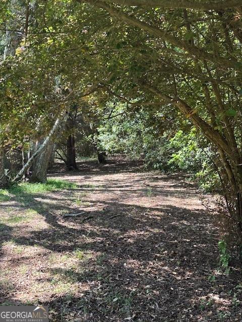 Photo #45