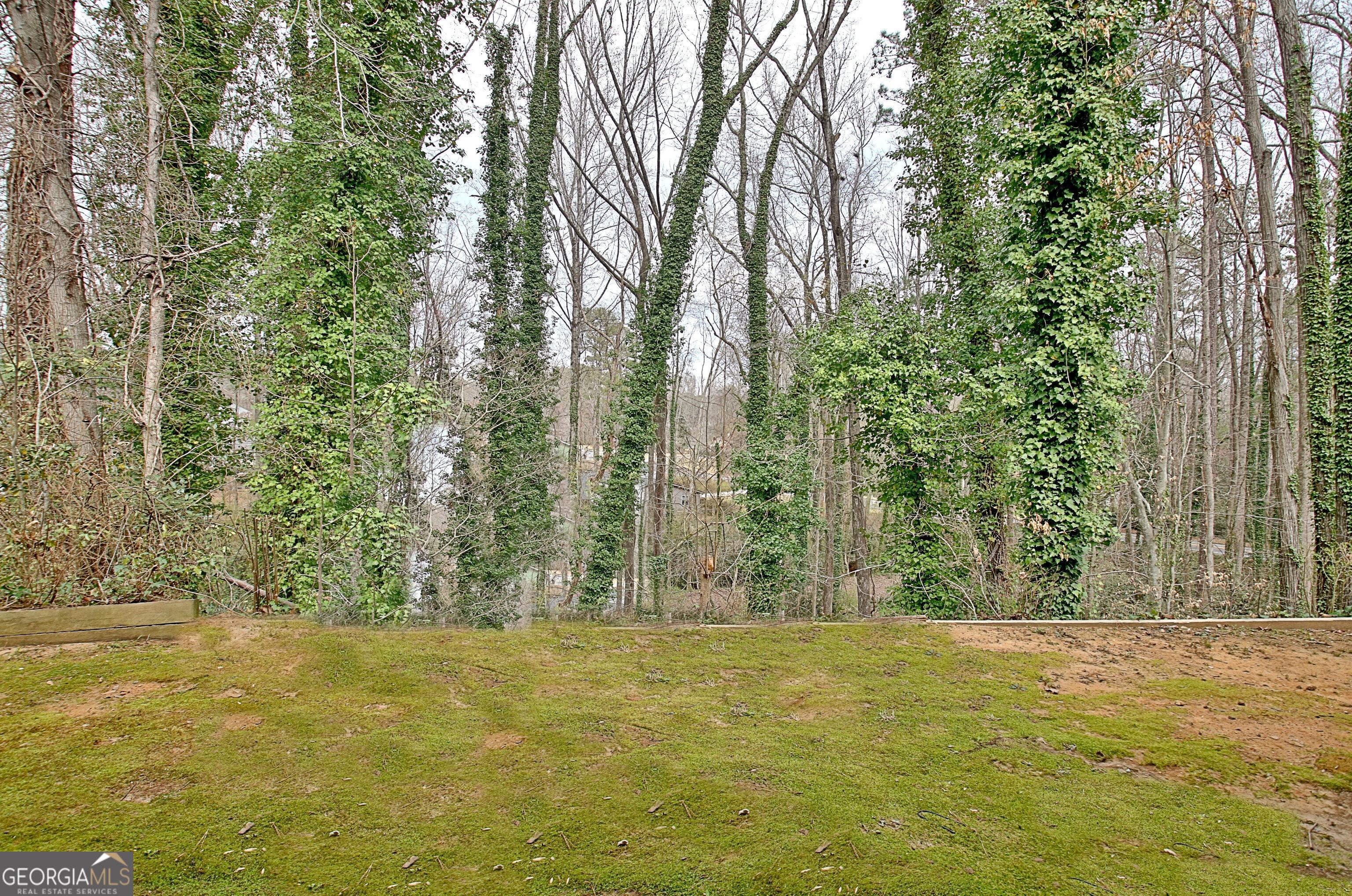 Photo #45