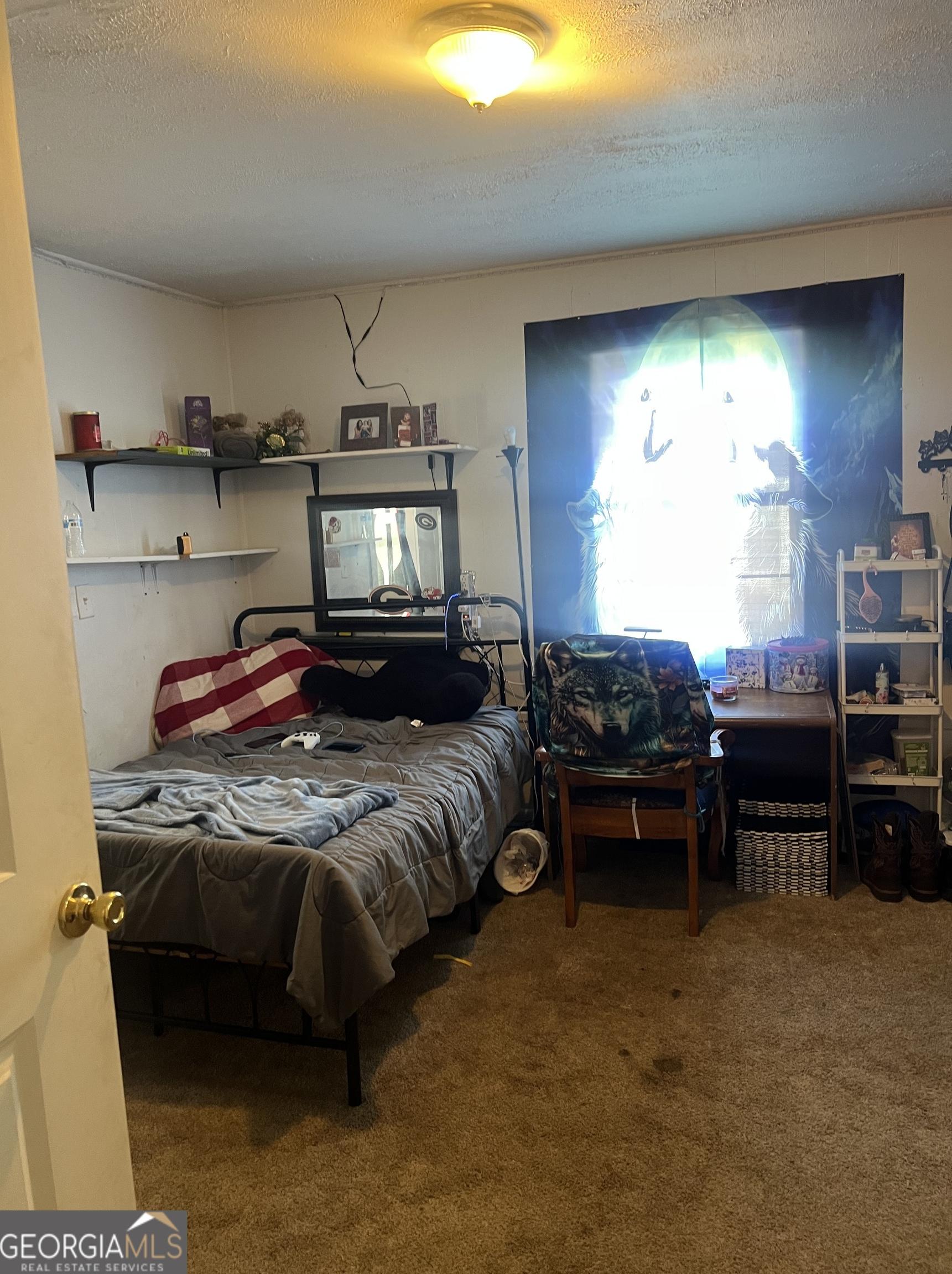 Photo #14