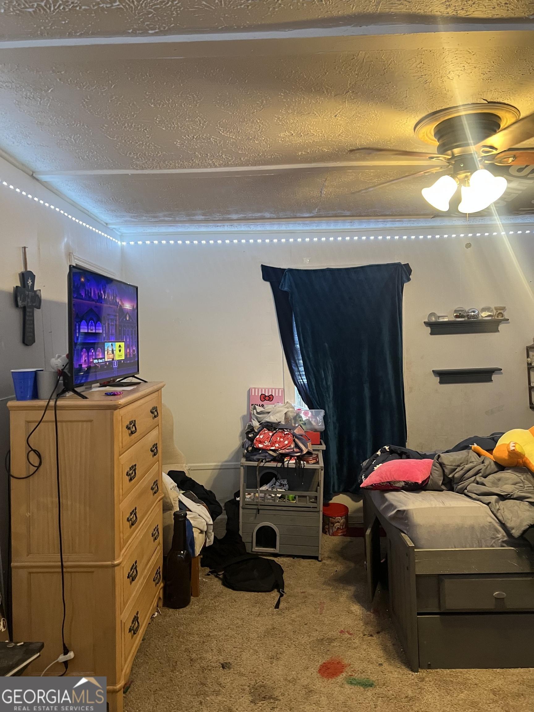 Photo #31