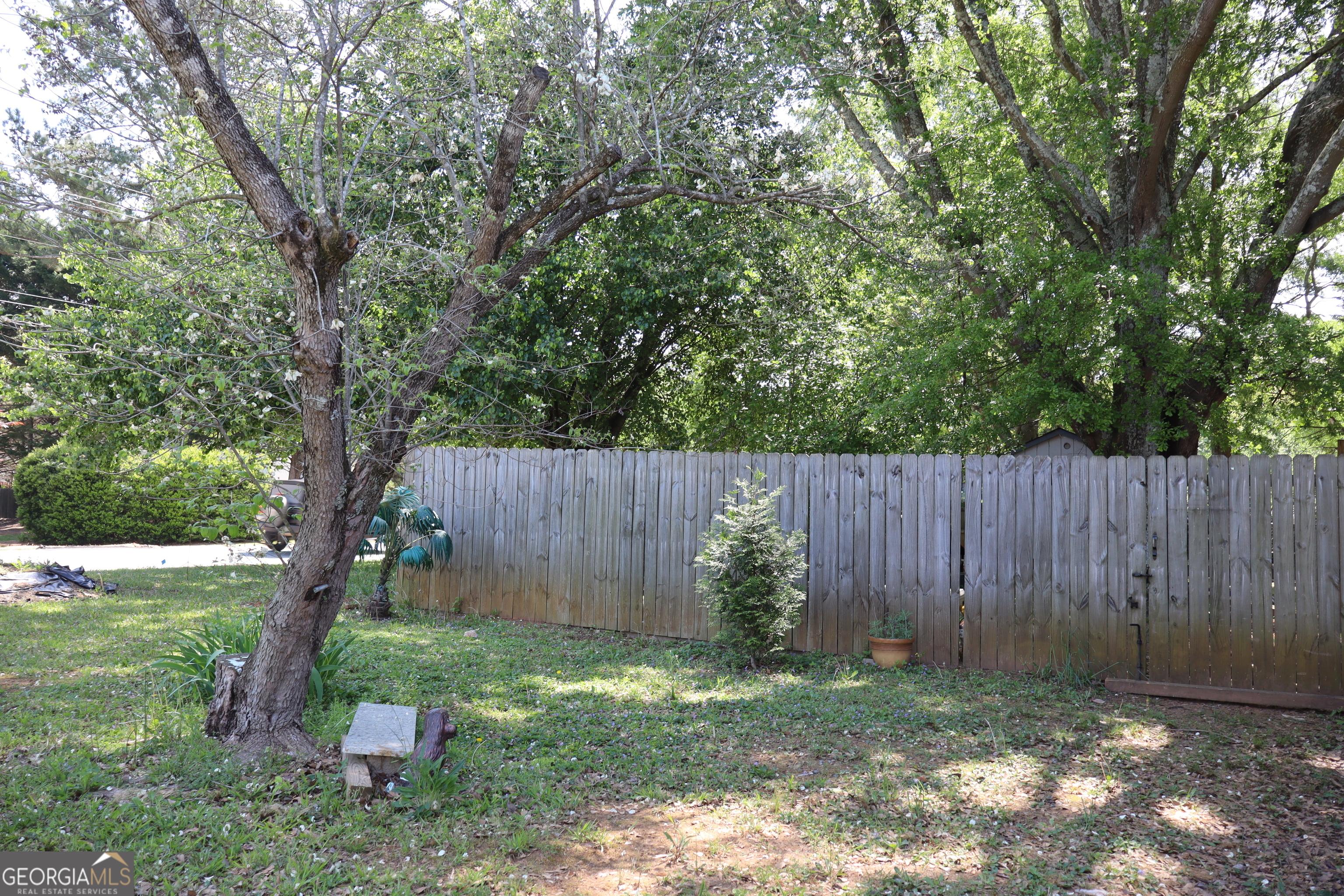 Photo #37